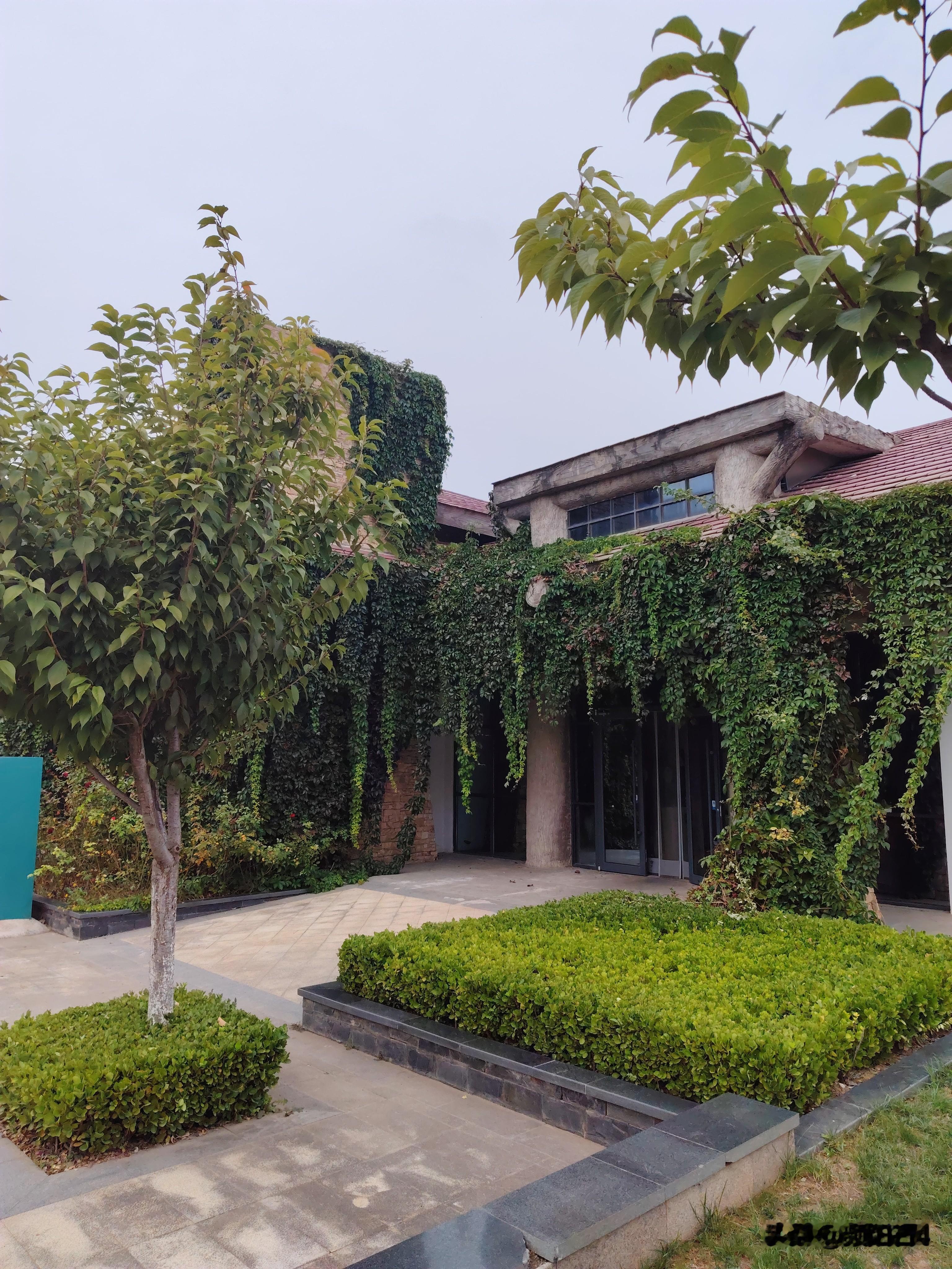 陈熠能成为下一个乒坛巨星吗?陈熠是优秀乒乓球运动员，但22岁了还没有拿过单打象样的世界冠军，要成为下一个乒坛巨星只是有可能，但很难很难！