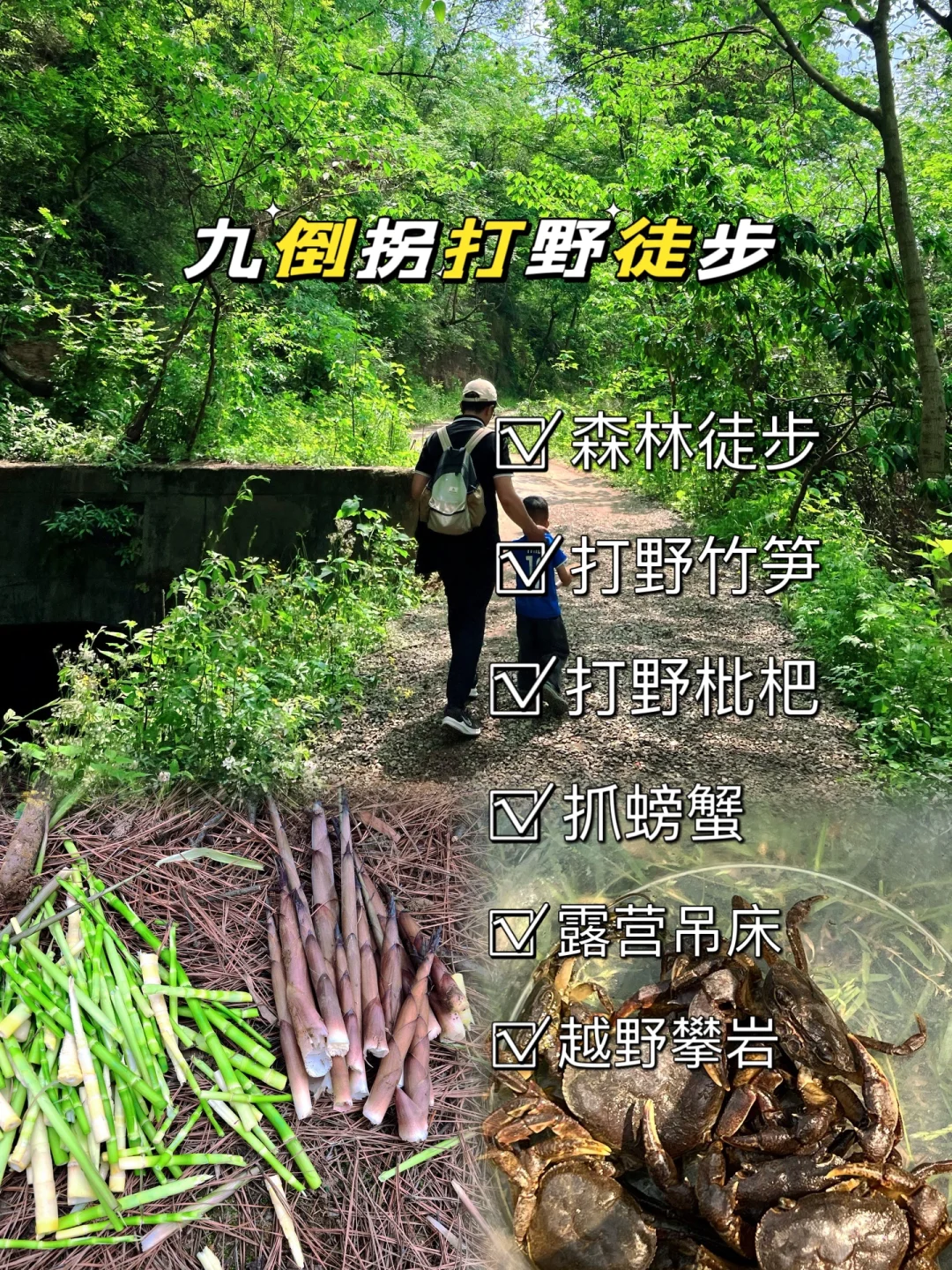 成都近郊40min‼️亲子徒步打野挖竹笋