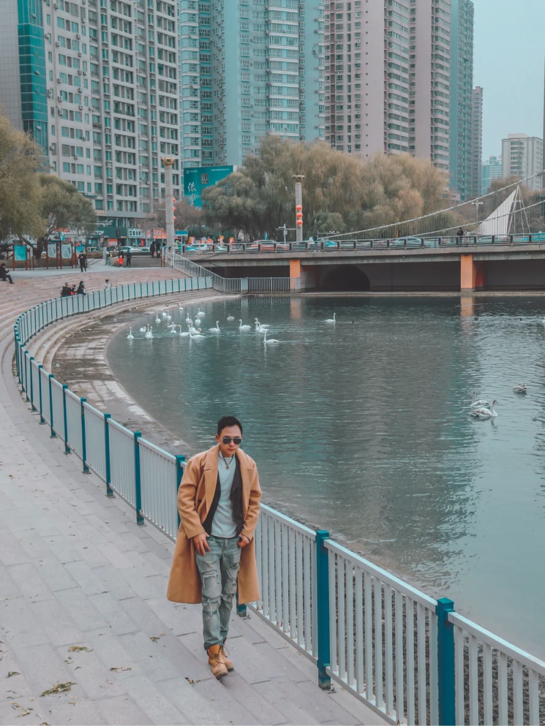 大美新疆｜在城市邂逅自由飞翔的天鹅！