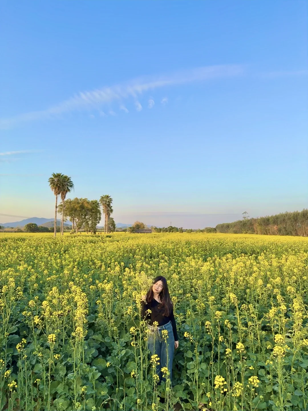 年初一实况！春节承包一整片油菜花海！附攻略