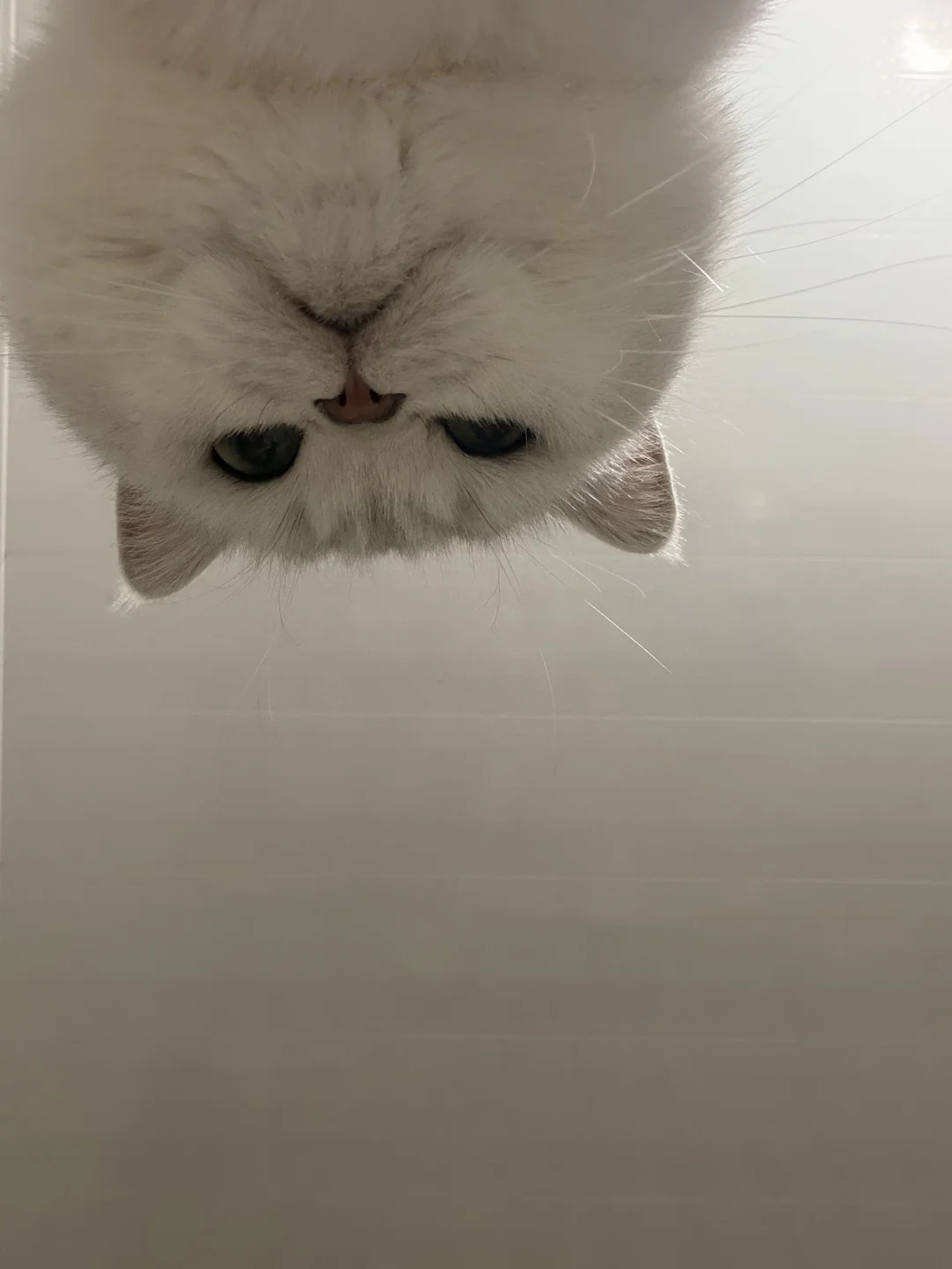 hello～