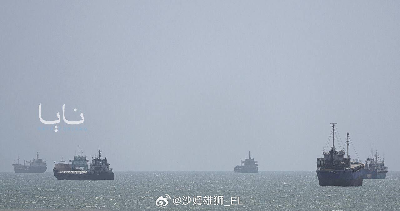 今天上午，五艘油轮和液化气油轮也通过伊朗走廊穿越霍尔木兹海峡，还有一些船在伊朗海岸近海等待批准通行。

此前，10天前被伊朗革命卫队扣押的阿联酋油轮AMARA号今天也被放行了，不过是原路返回波斯湾海域。 ​