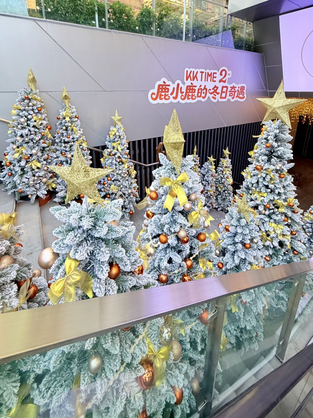 11.22实拍🎄深圳的圣诞氛围已经开始啦！！