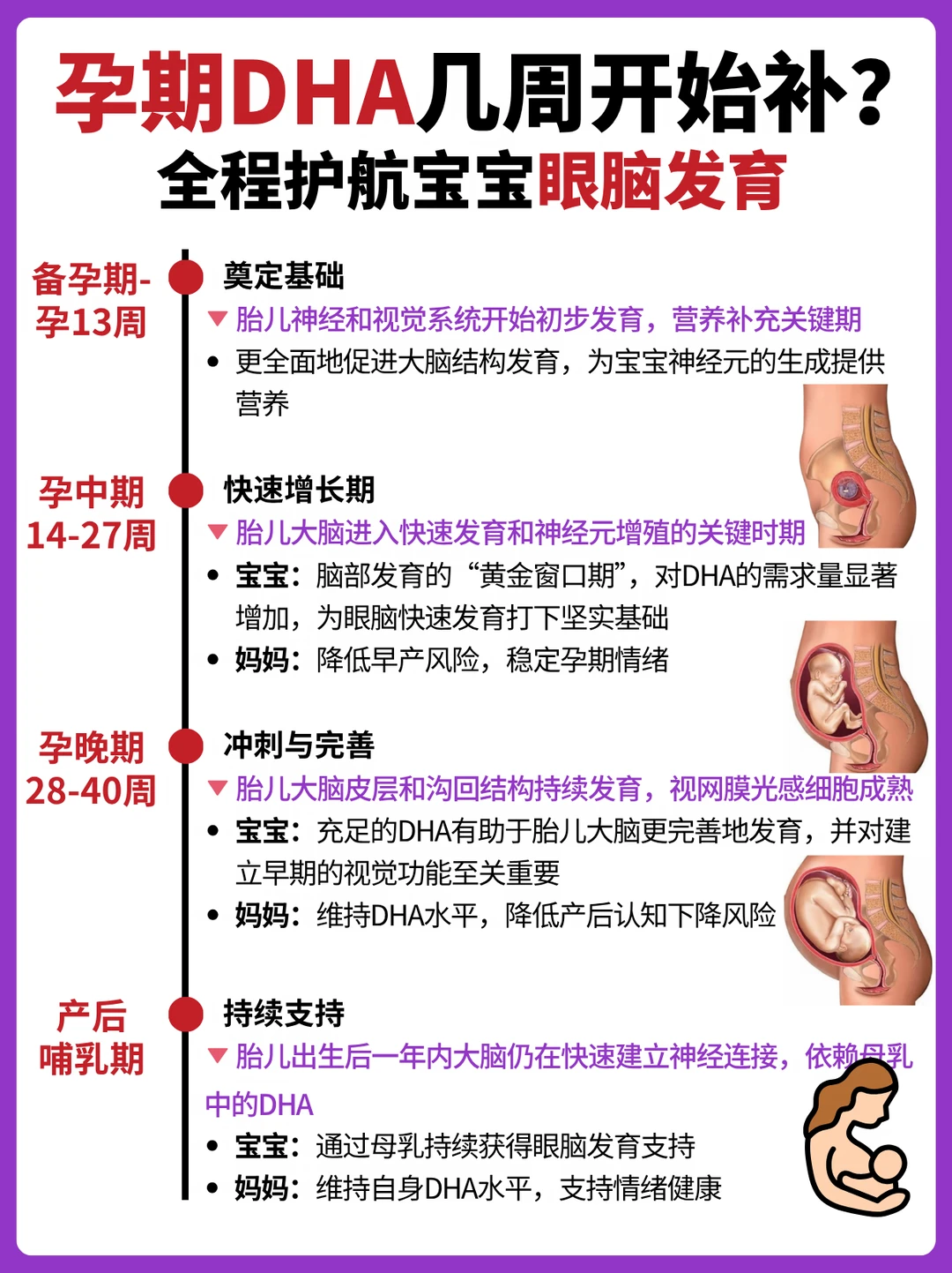 孕期必看❗️只补DHA不补胆碱=白花钱！