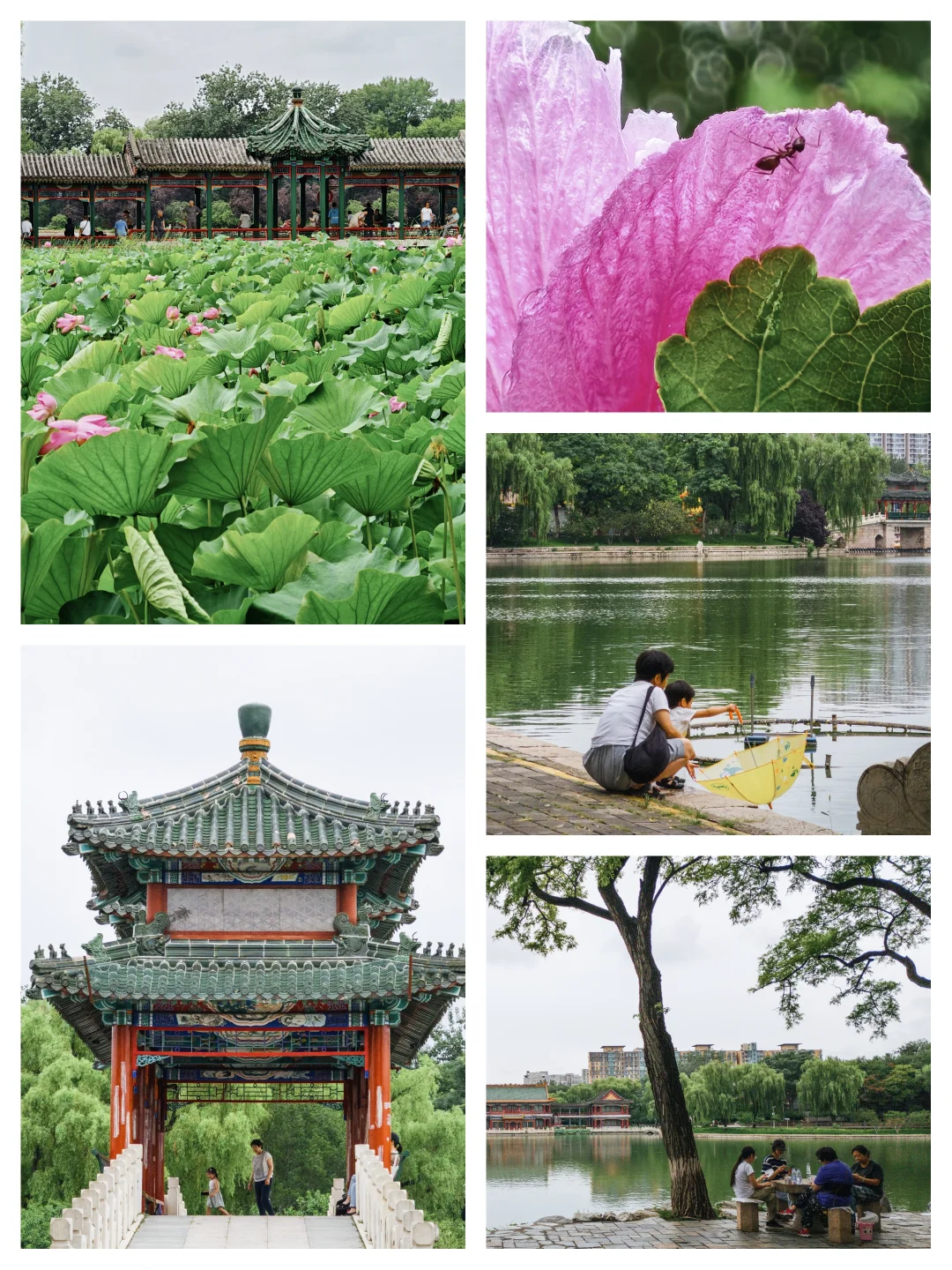 阔别十年，重游北京龙潭公园！