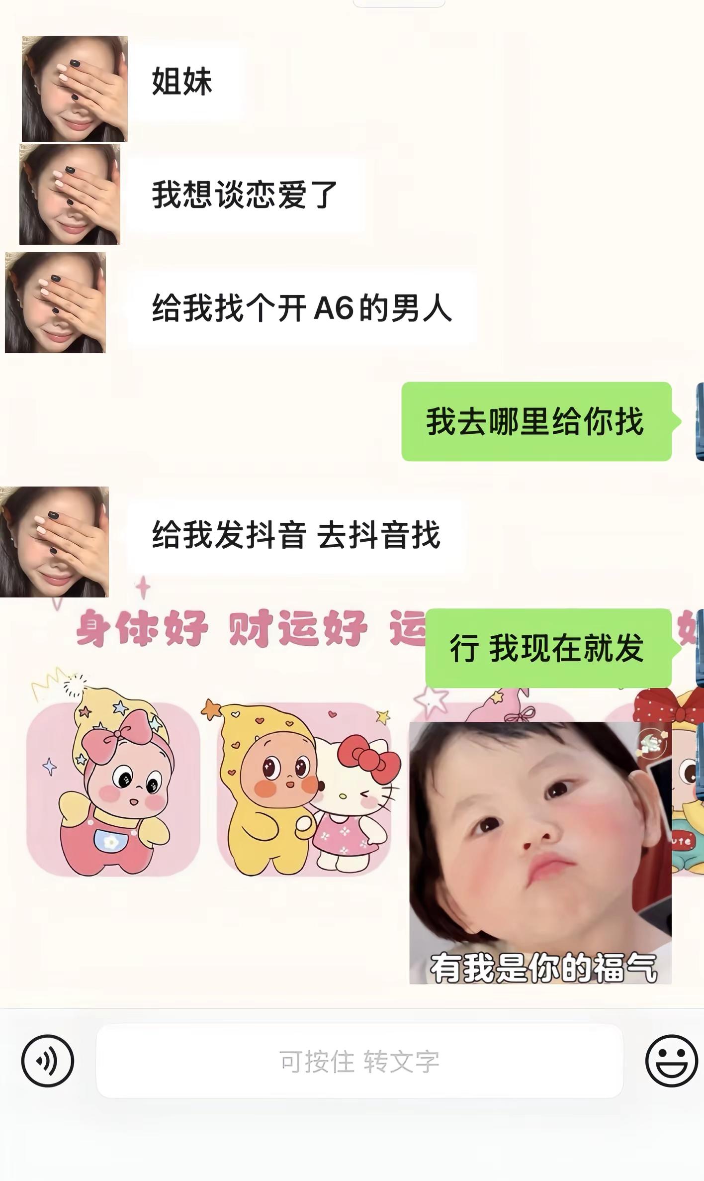 各位奥迪车主 该你们出场了
