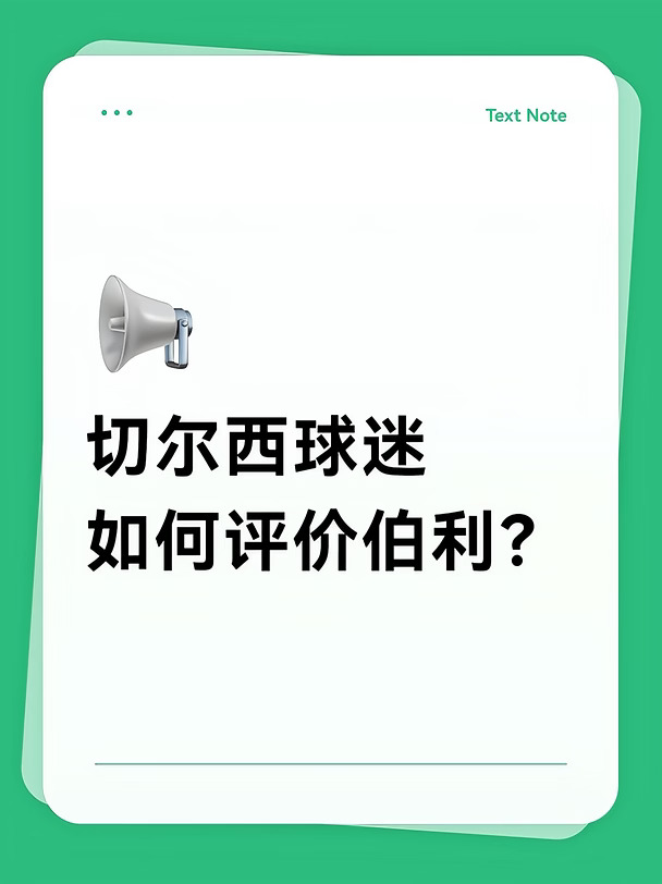 切尔西球迷如何评价伯利？