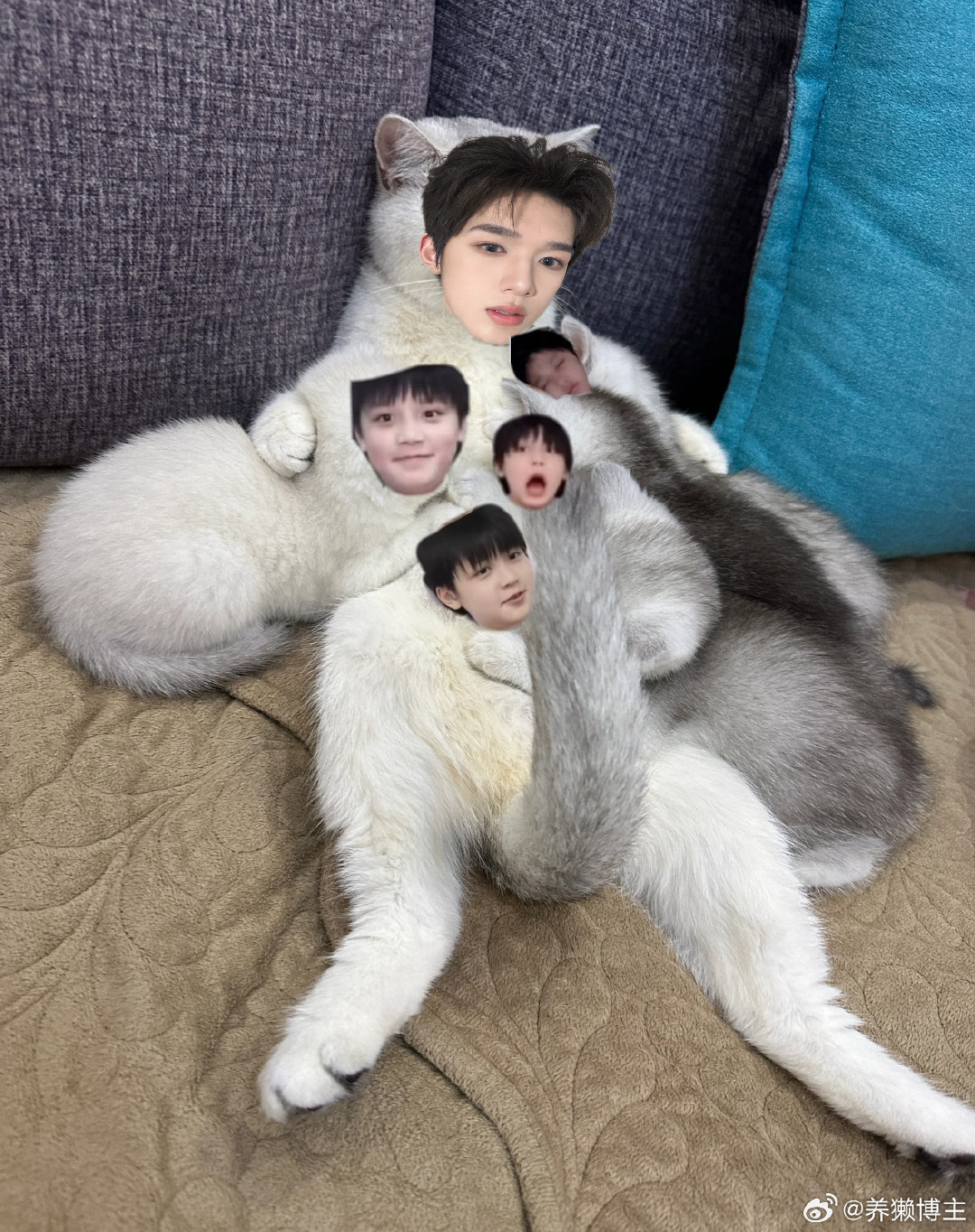 #魏子宸吃官俊臣大奶奶不撒嘴[超话]#  坤奶坤奶 ​