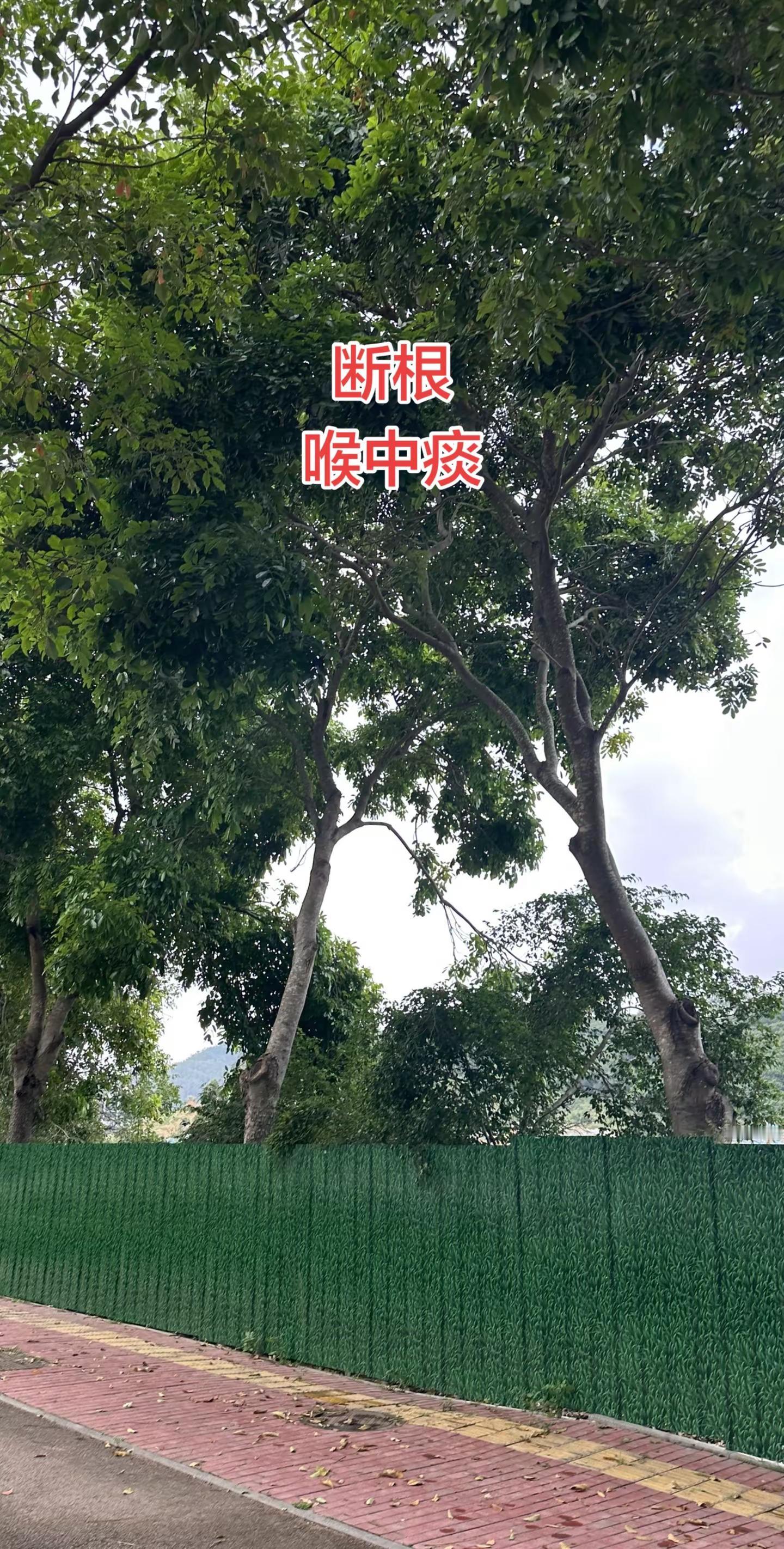 马刺还是太年轻了，关键失误&amp;绝杀不中，马刺主场再负尼克斯