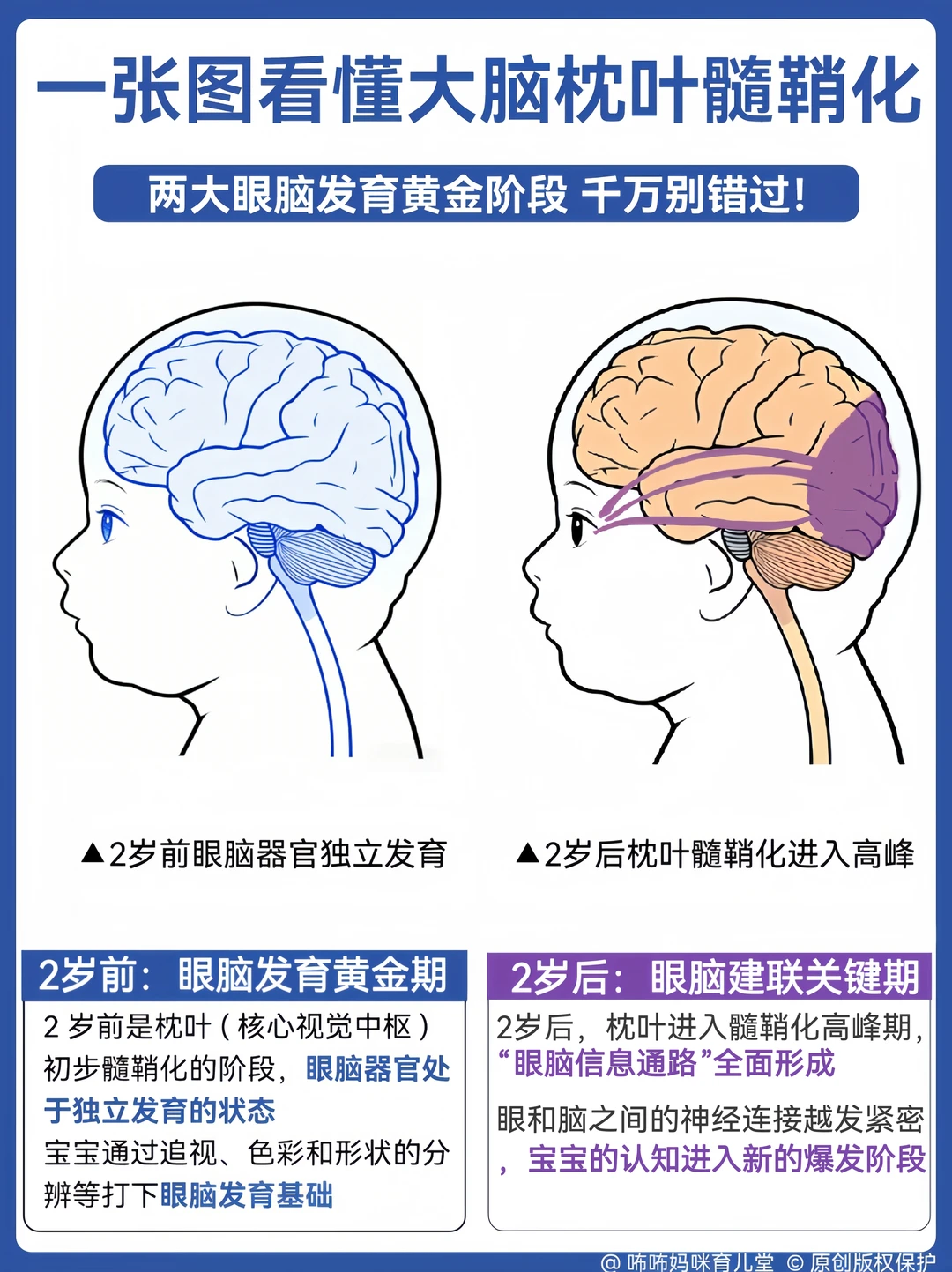 营养师拆解|眼脑黄金期，DHA分龄补充到位