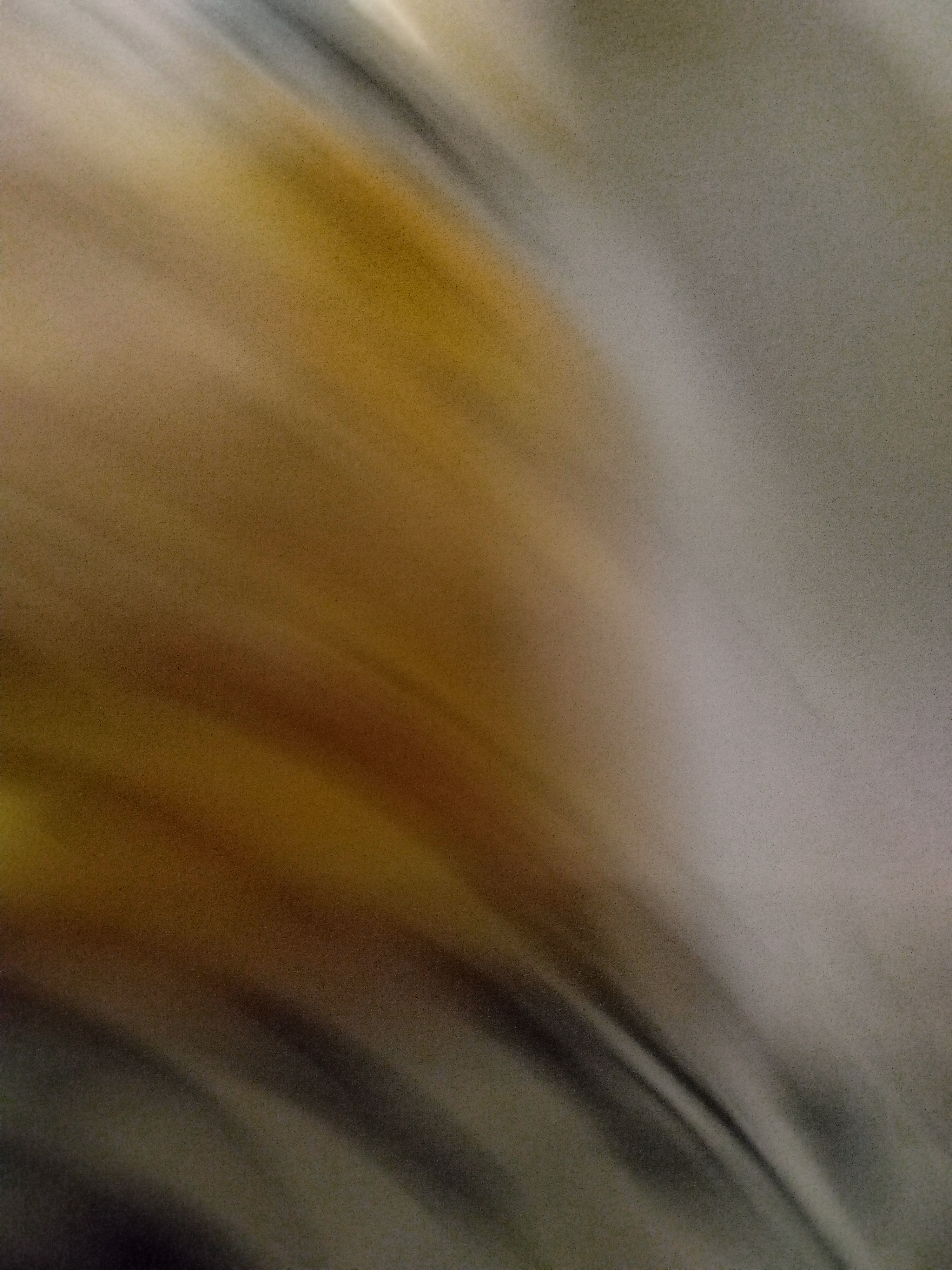 林诗栋夺冠后怒吼回击挑衅好吗