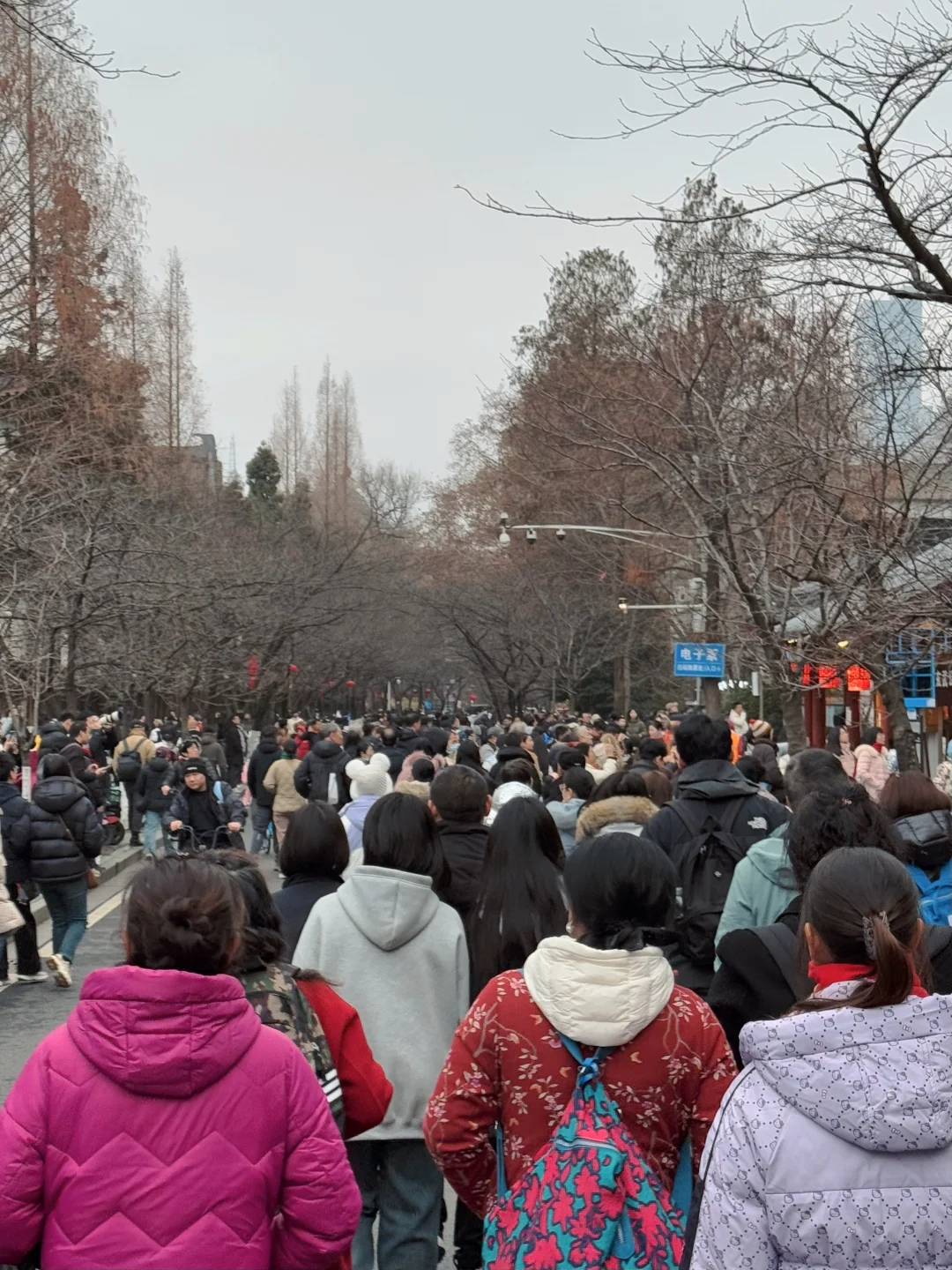 你们的财神已被堵在鸡鸣寺