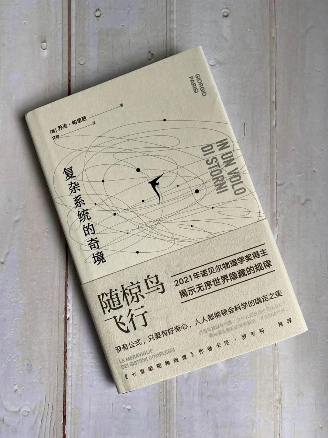 硬核物理学科普 | 复杂系统的隐藏规律