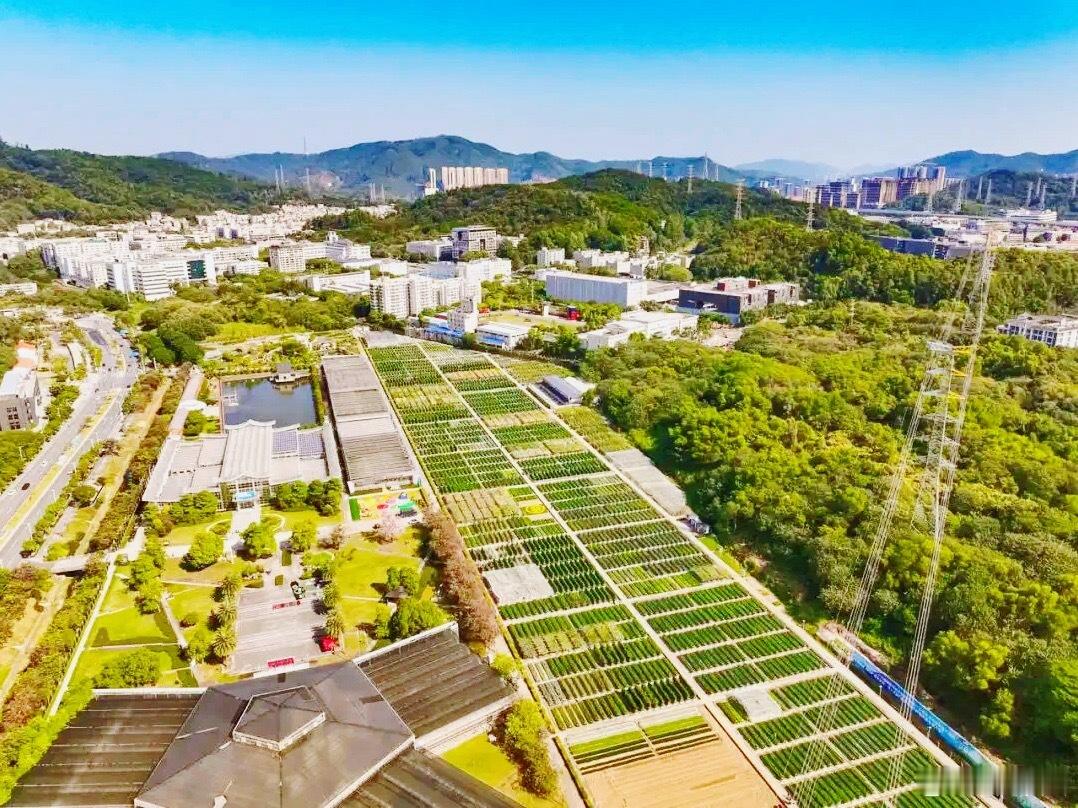 寸土寸金的广州天河，早已跳出传统农耕模式，打造出一座数字化农业高地。依...