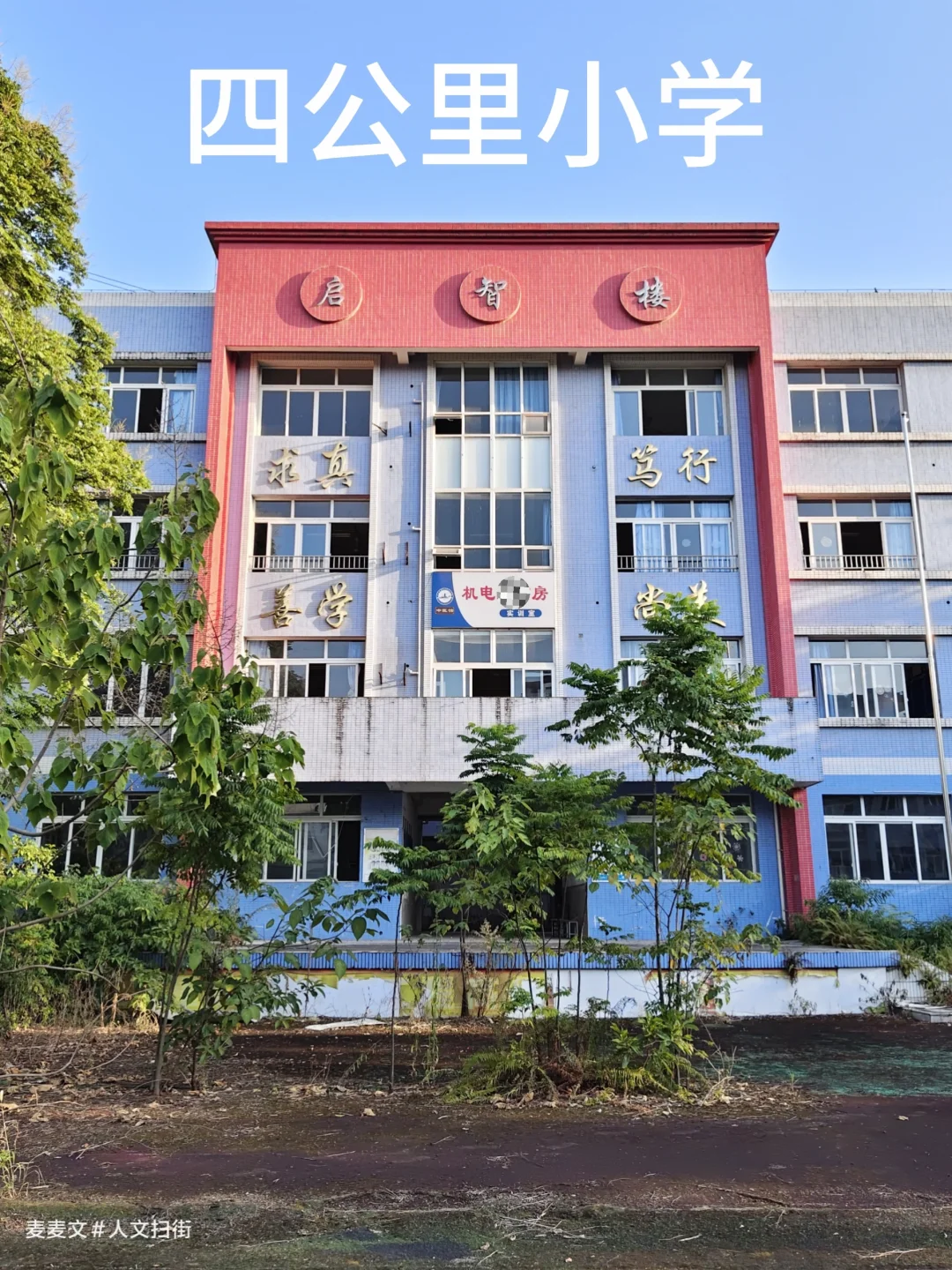 【南岸】曾经的四公里小学有多少人的回忆