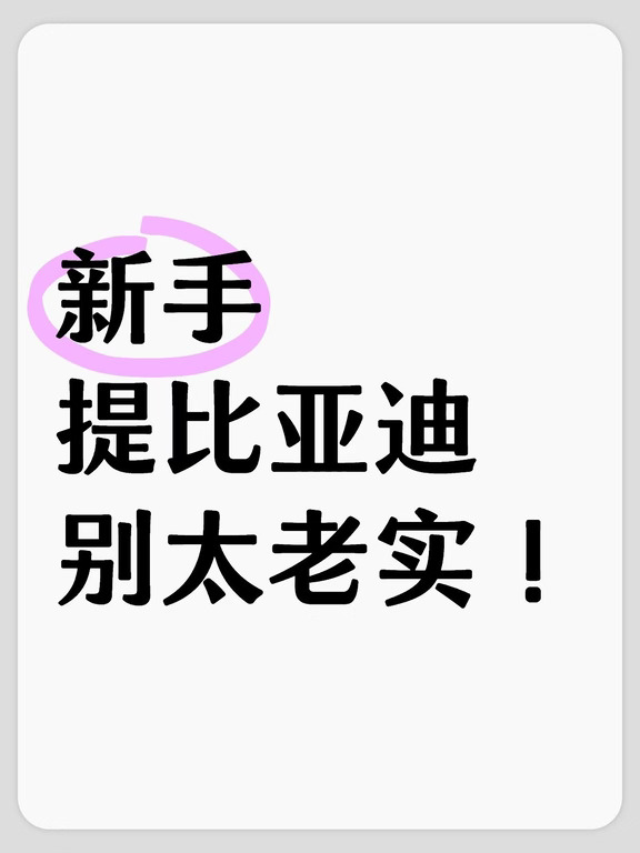 比亚迪员工超全提车攻略分享，小白照着检查