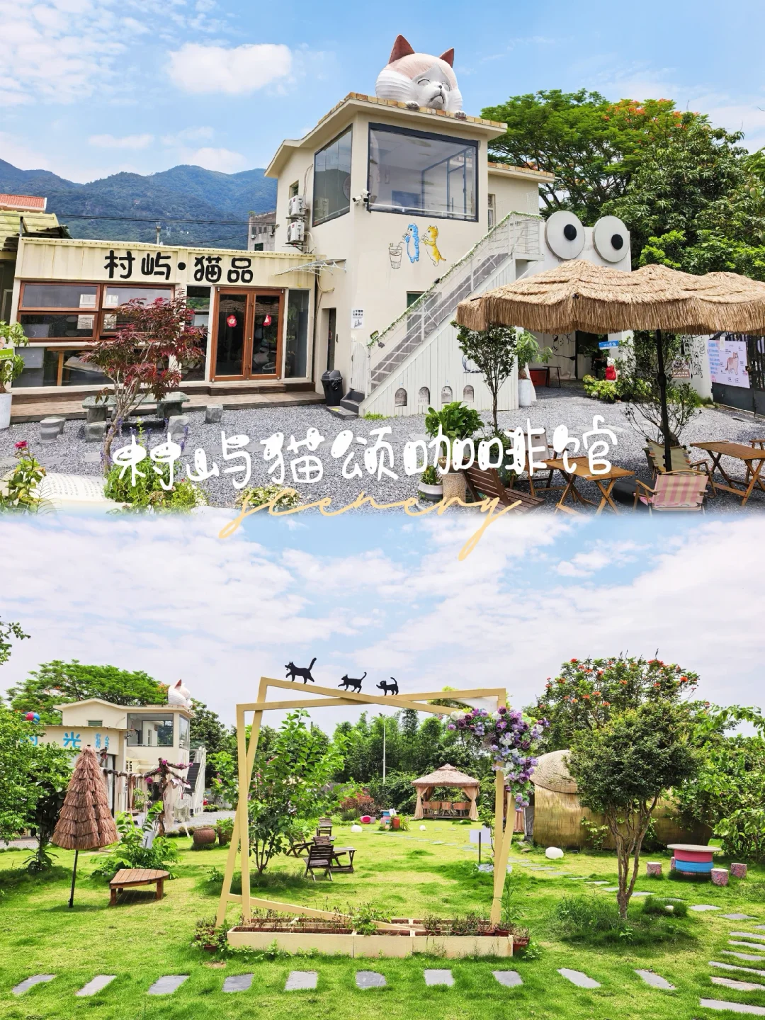 厦门亲子游🐱村屿猫颂咖啡馆撸猫攻略