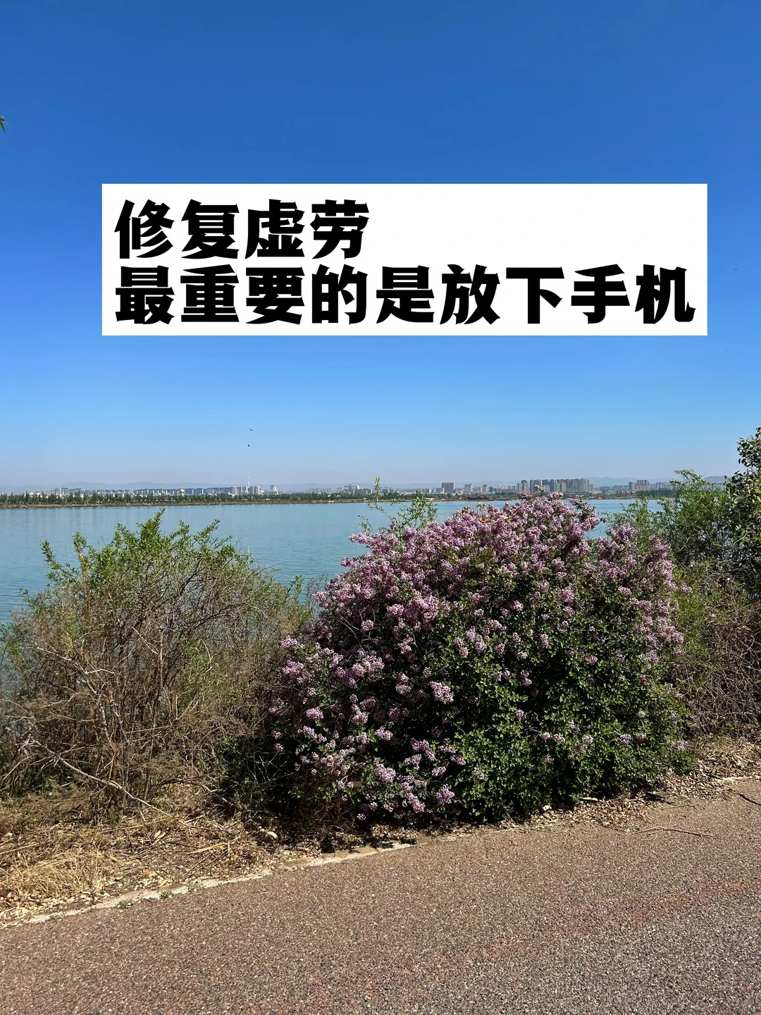 修复虚劳最重要的环节是放下手机.