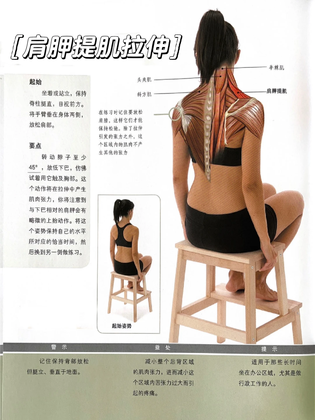 最有效的拉伸脖子！