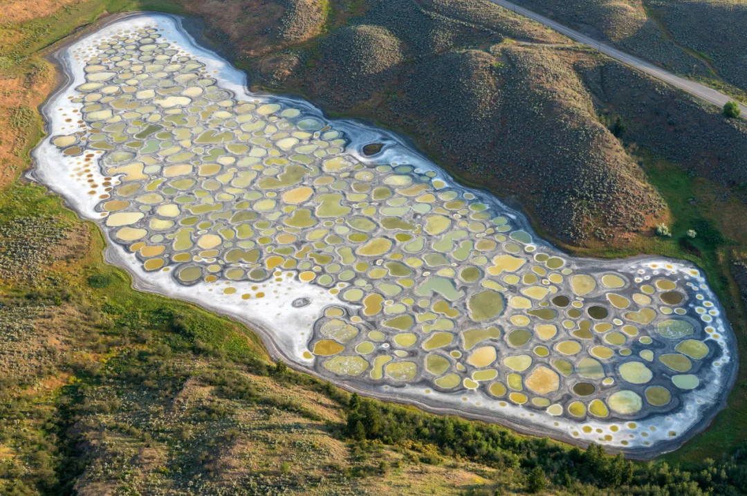 加拿大斑点湖（Spotted Lake）