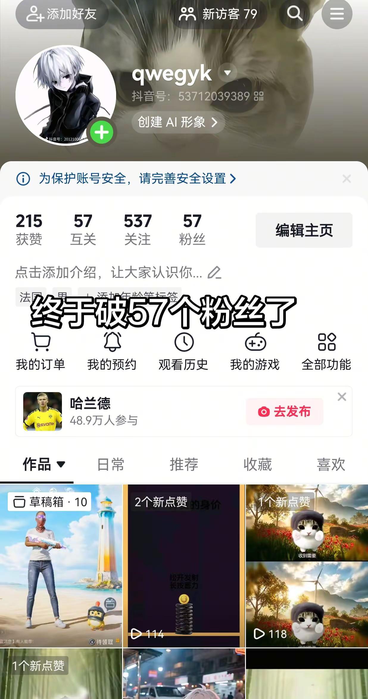 哈兰德