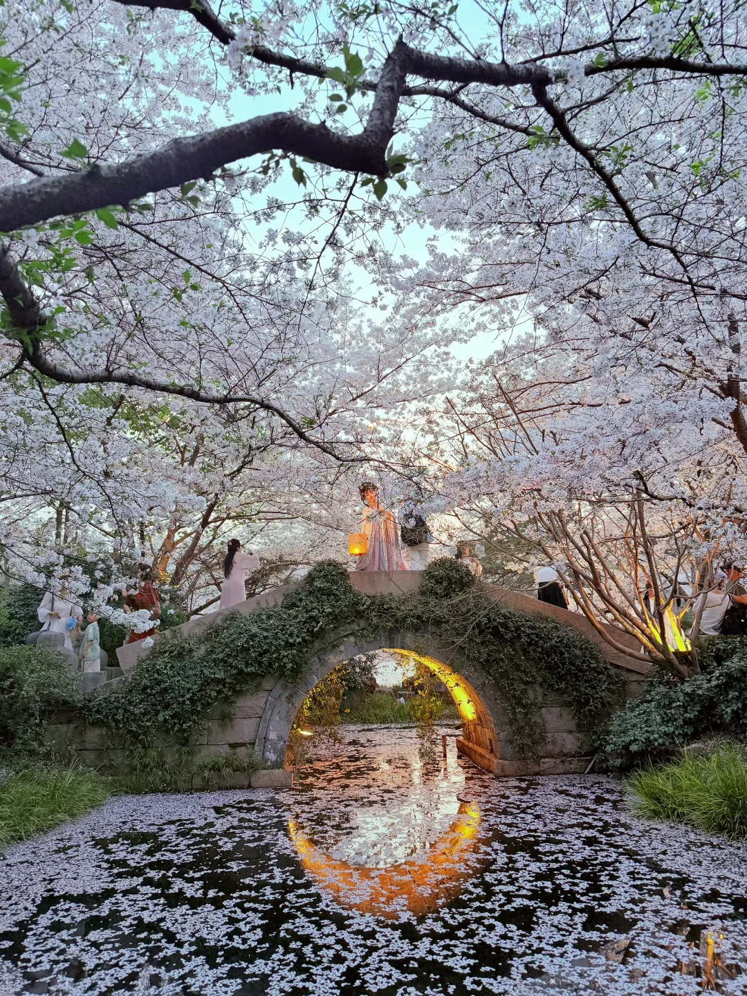 3.25实拍｜我在杭州很想和你交换春天‼️