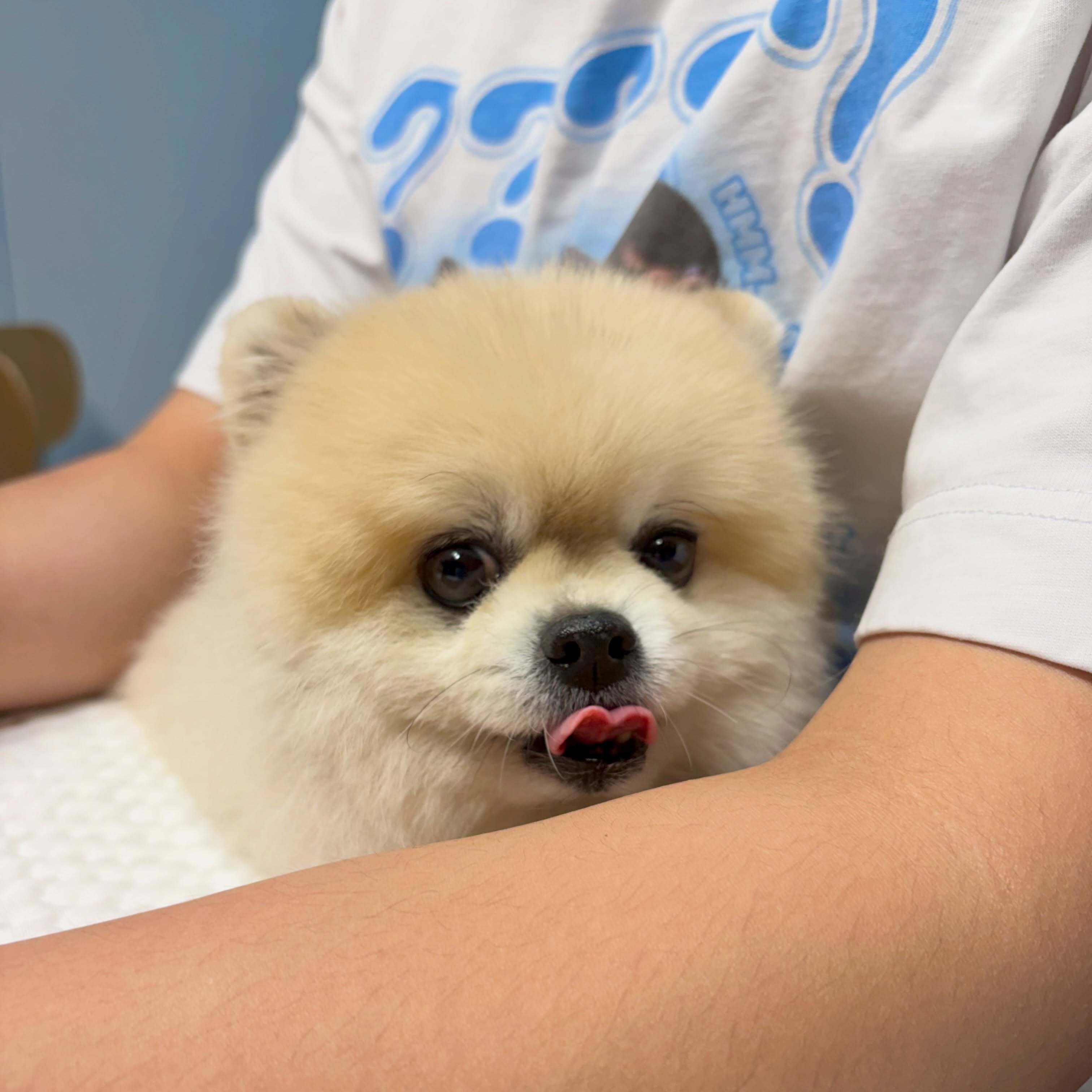 【🐶】工作日来看点可爱嘟妮每日萌宠 ​​​