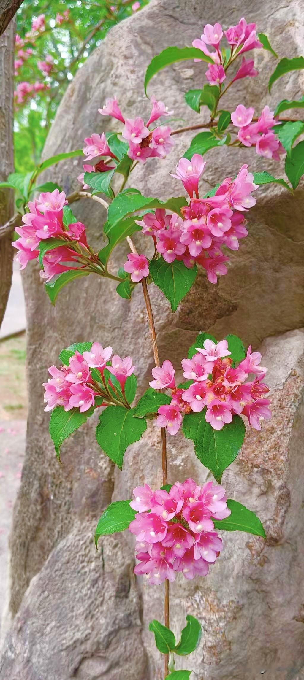 何为高情商的人？高情商的人应该是有共情力，有真诚心的人吧。