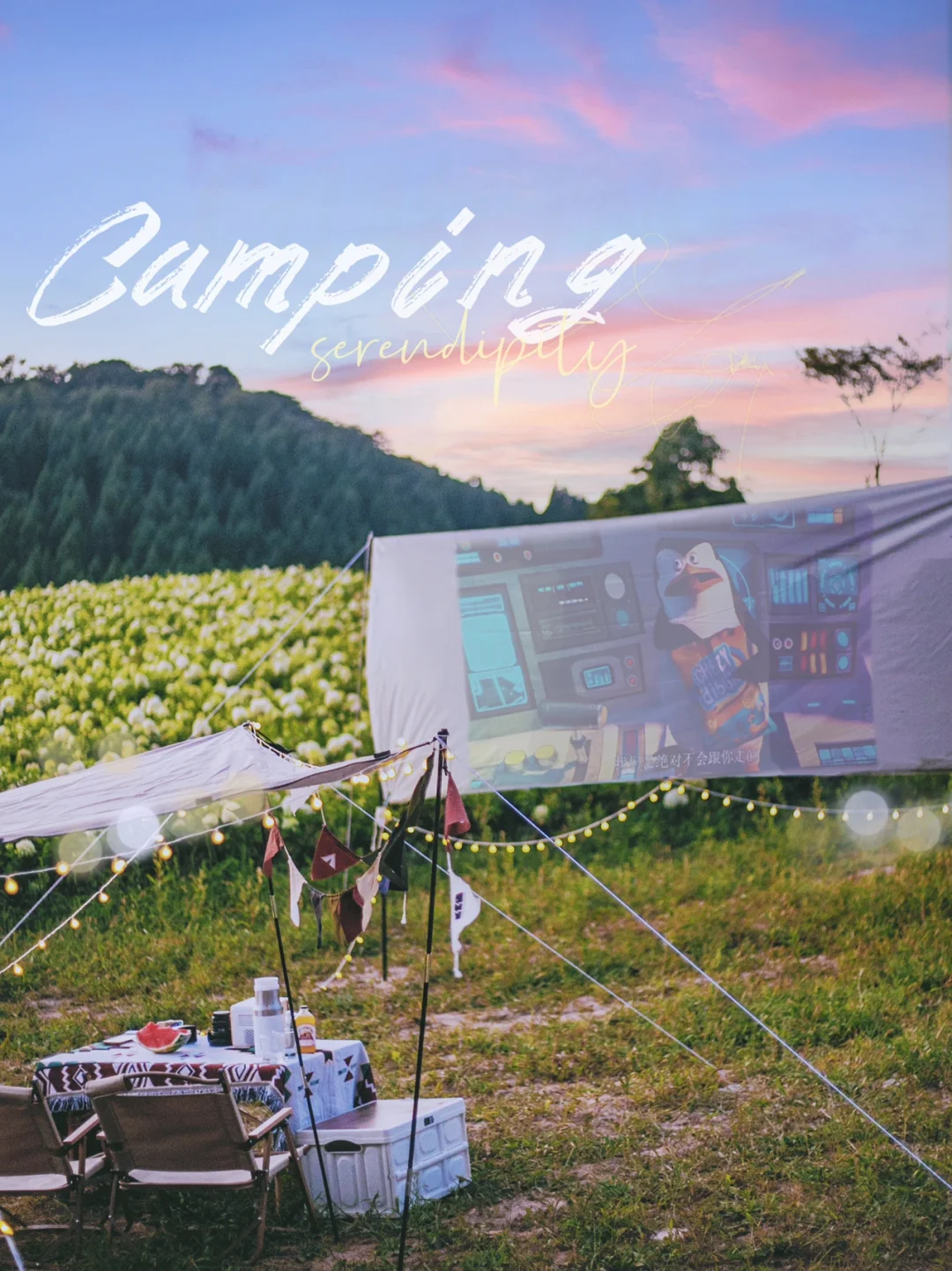 重庆避暑露营⛺️，这里有20°C的山花浪漫🌷