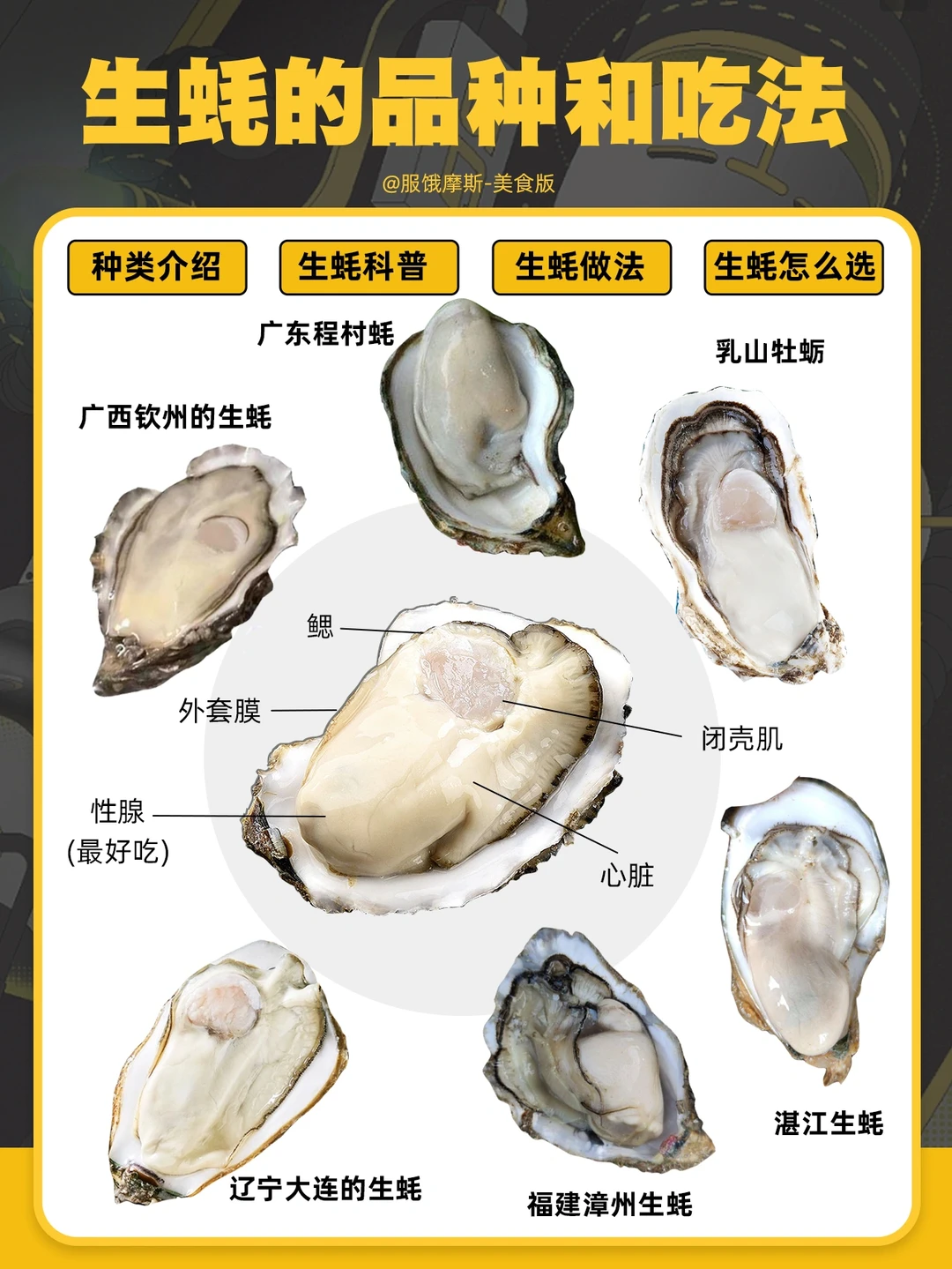 🔥生蚝的品种和吃法，附生蚝挑选技巧