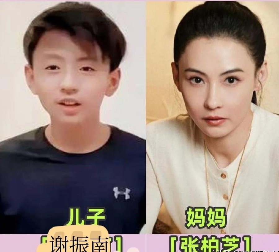 张柏芝养出三个儿子，一个像谢霆锋，一个像她自己，还有一个谁都不像。
2026年1月22号，有人在澳大利亚悉尼机场拍到张柏芝带着三个儿子。18岁的Lucas穿一身黑，站在妈妈旁边，五官和年轻时的谢霆锋高度重合。有网民在澳大利亚宜家碰到母子俩买家具，官方身高165cm的张柏芝站在Lucas身边，头顶只到