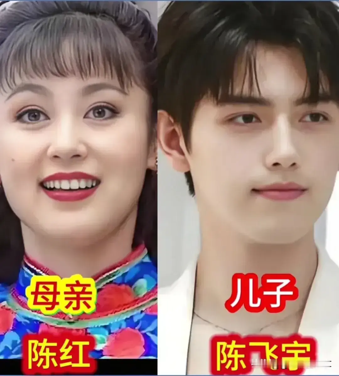 漂亮的妈妈，帅气的儿子——妈妈的遗传基因很强大，儿子遗传了妈妈的高颜值。 眉眼是复刻，轮廓是翻版，神态是“一看就是一家人”
陈红&amp;陈飞宇，陈红当年是“内地第一美人”，貂蝉、太平公主，一张脸惊艳了一个时代，儿子陈飞宇往那一站——那双眼、那道鼻梁、那股清秀里带着的矜贵，活脱脱就是“陈红的儿子”，不是像，