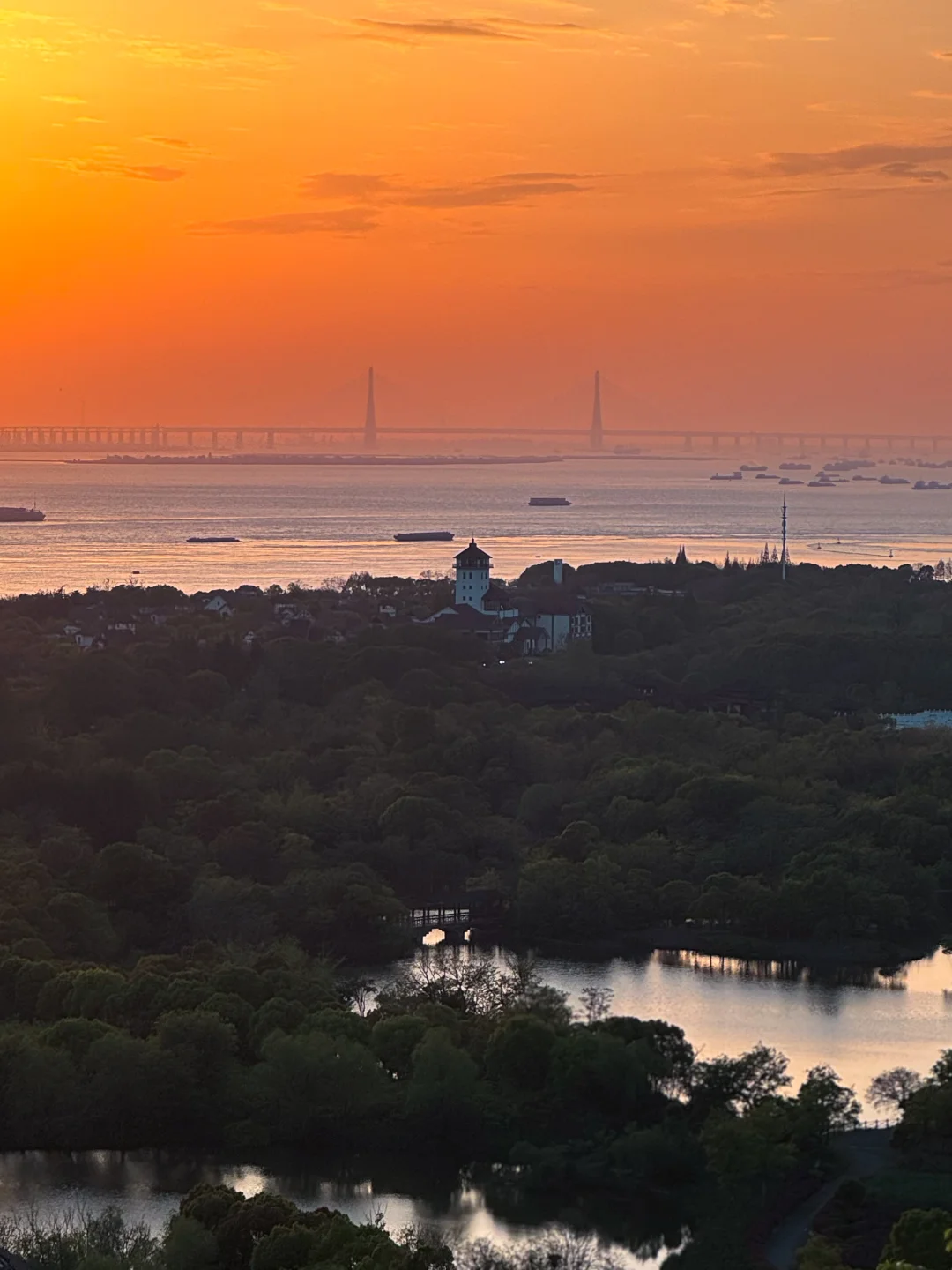 南通版的江河森林秘境