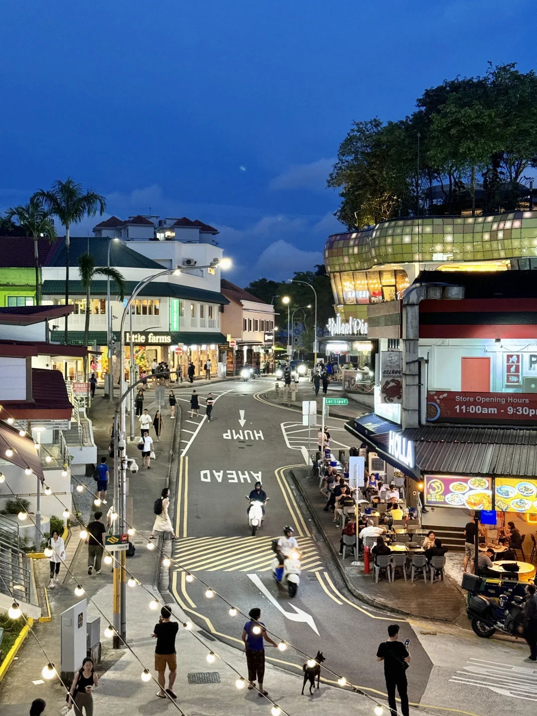 新加坡旅行后劲太大了😭哭着发出18张live….