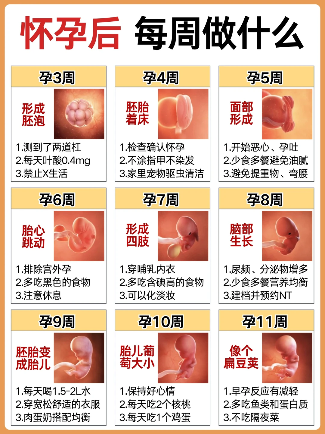 给初次怀孕的姐妹们，一些超实用的小建议🔥