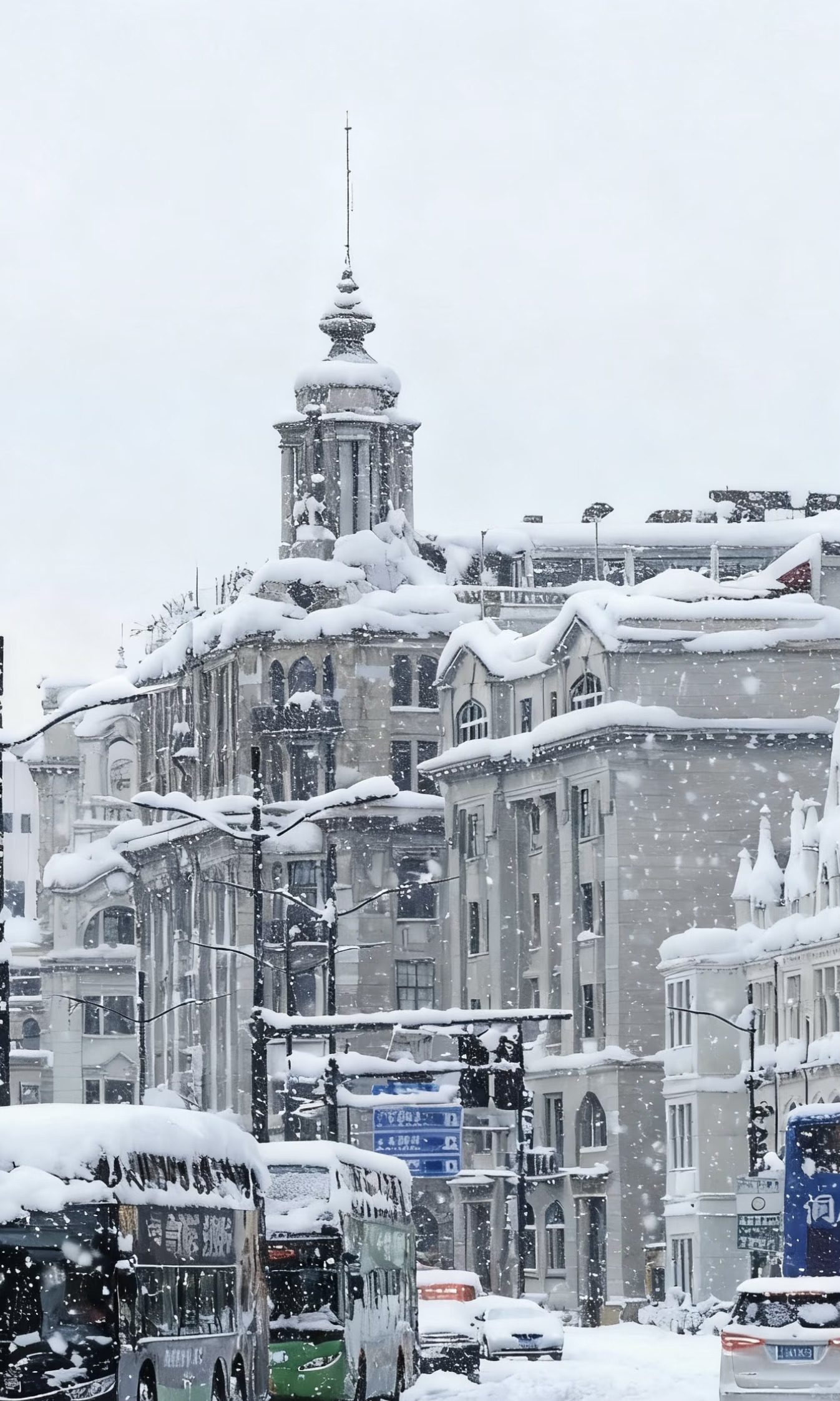 上海下雪了❄️❄️❄️上海必打卡⑩景点推荐