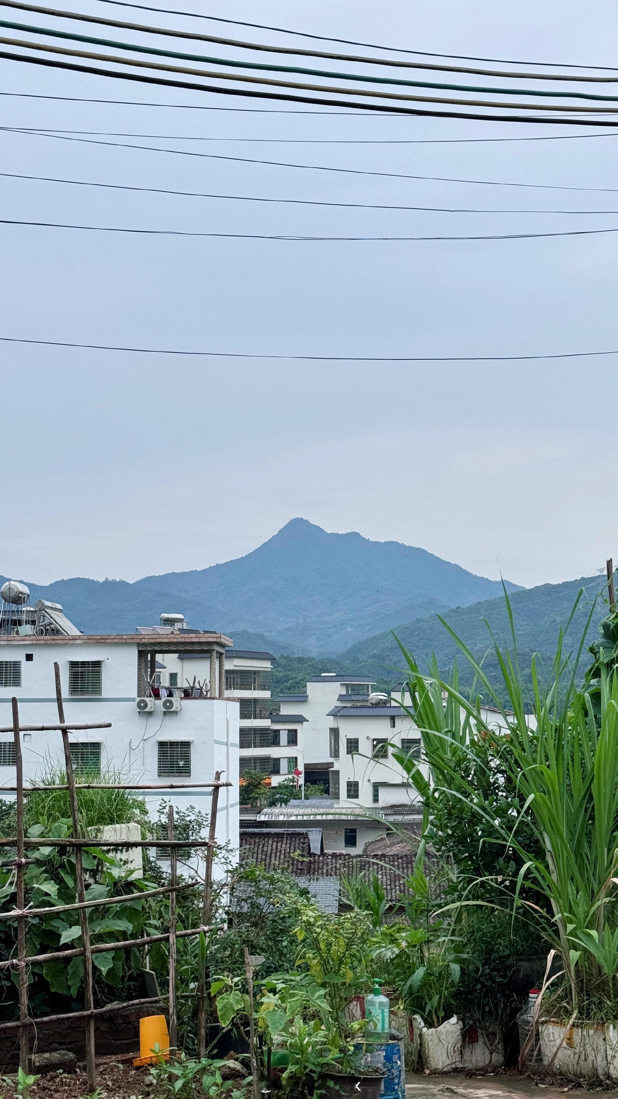 📝亲爱的妈妈  上周特意在我生日前，你妈带着弟弟道来，和我一起简单过...