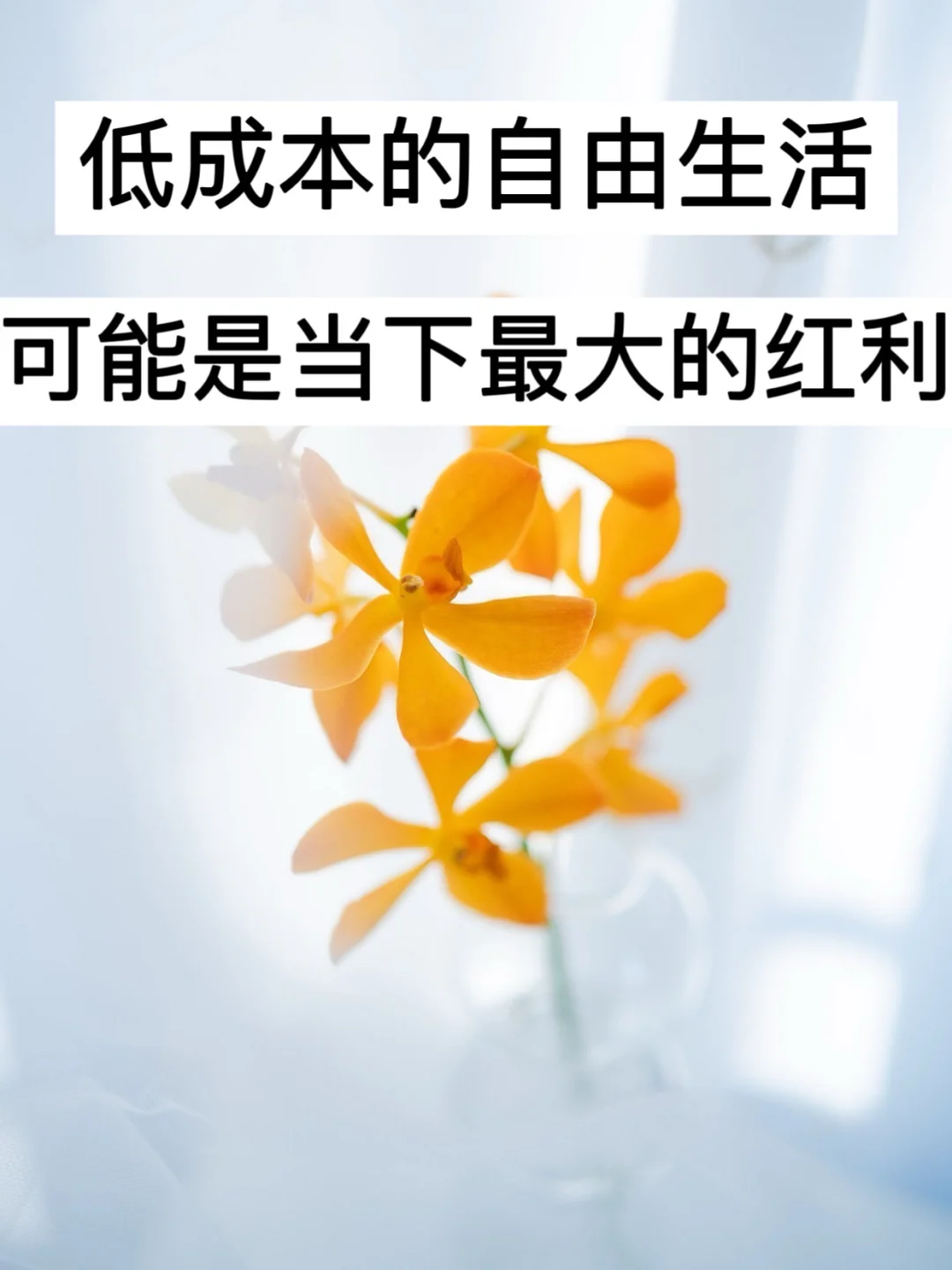 低成本的自由生活，可能是当下最大的红利！