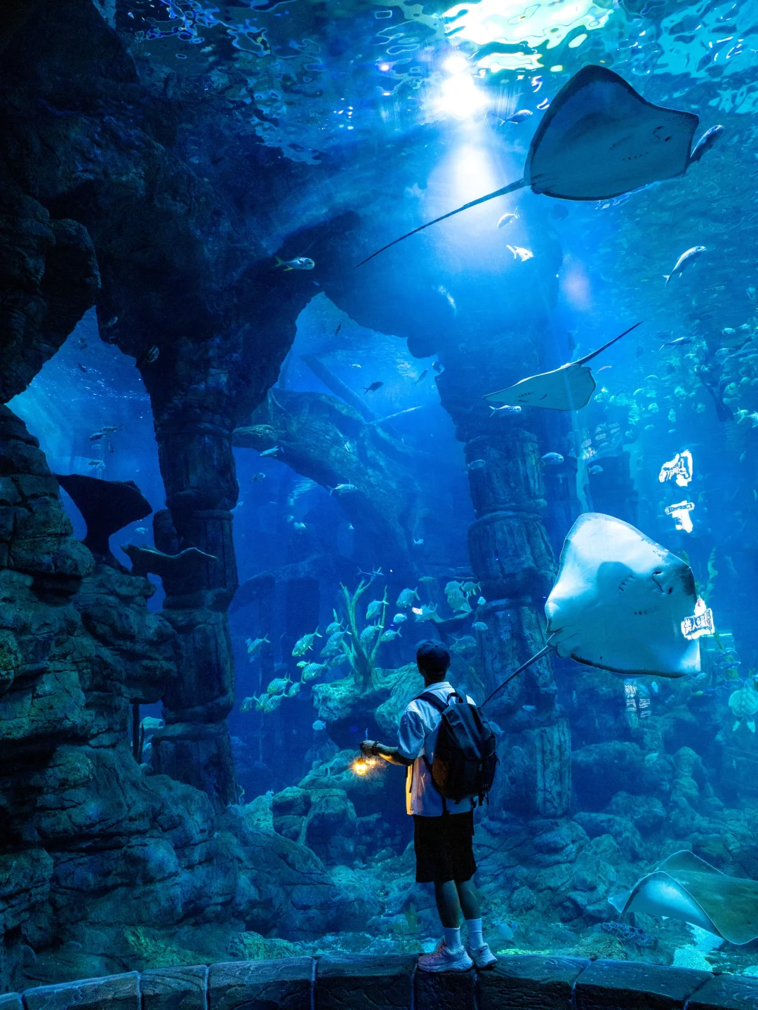 为了这座海底王国，我特地去了一趟舟山….