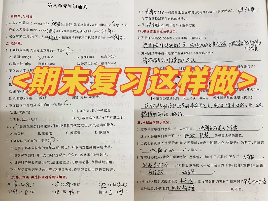 2024五下语文八单元知识通关｜期末复习