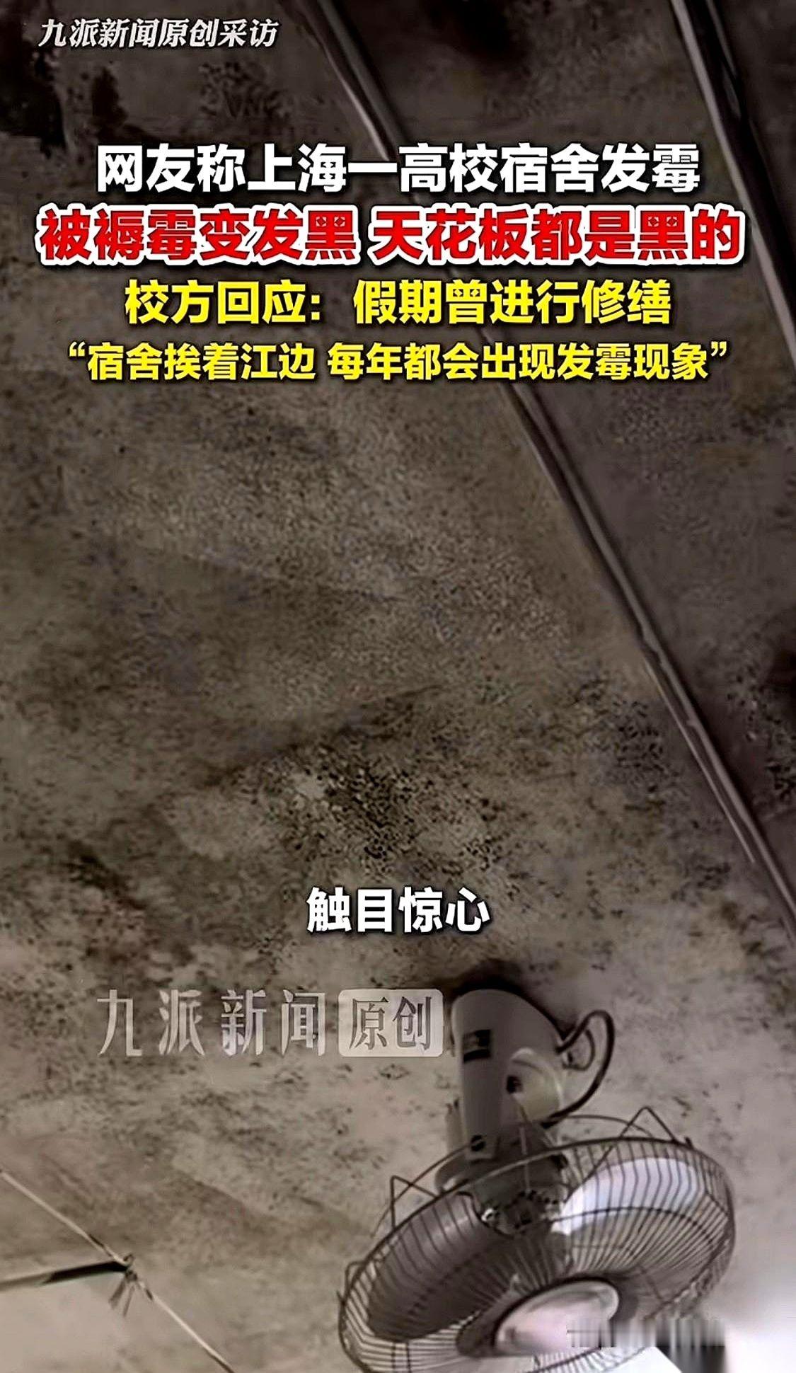 网传一段视频，宿舍门一推开，黑绿色的菌斑从床沿顺着墙皮一路往上爬。那股子捂了整整一个暑假的霉臭味，隔着屏幕都能让人呛得直咳嗽。
这可不是什么荒废十年的郊区烂尾楼。爆料网友说，这是位于寸土寸金的上海市区、有着百年底蕴的上海理工大学的新学期宿舍。
学生拖着几十斤重的行李箱满脸期待来报到，迎面撞上的却是一