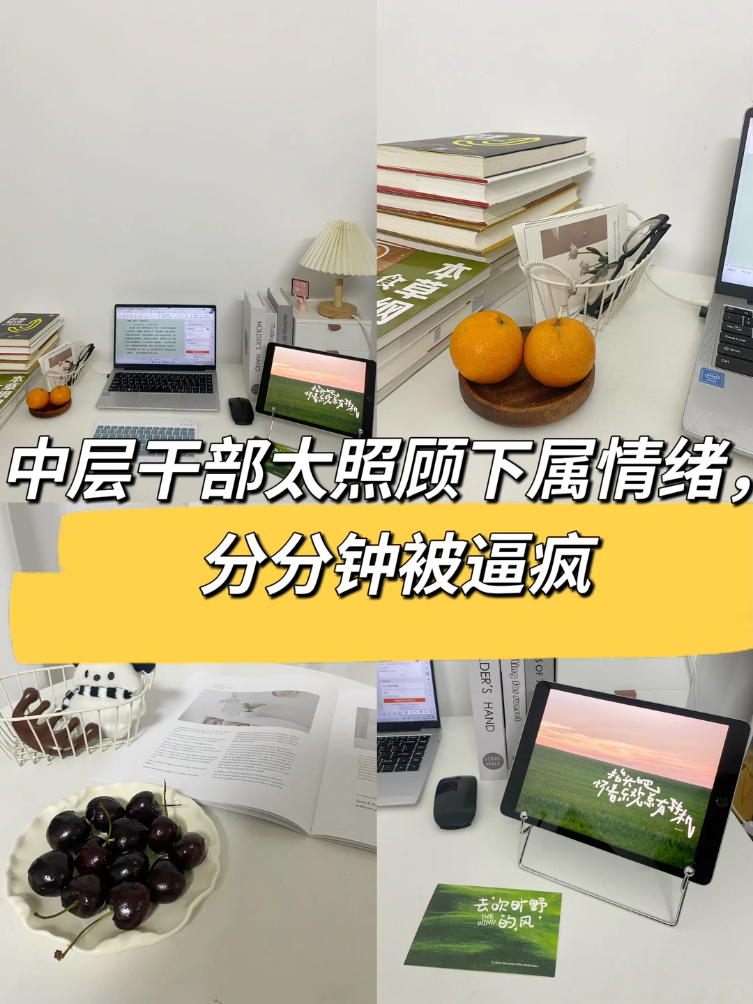 中层干部太照顾下属的情绪，分分钟被逼疯👍