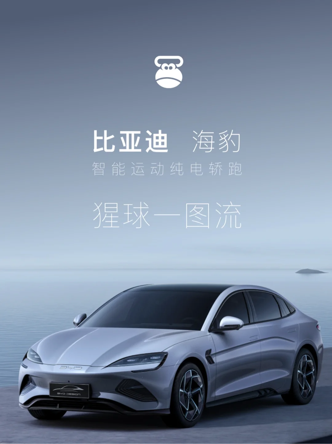 【一图流】20万级新能源车王炸，比亚迪海豹🦭