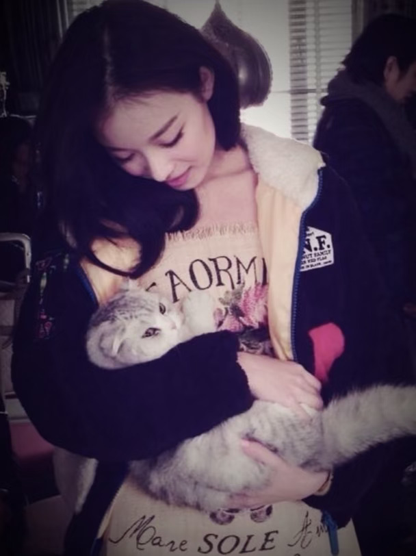 ✨考古 谁的怀里有小猫咪啊～ 倪妮早期