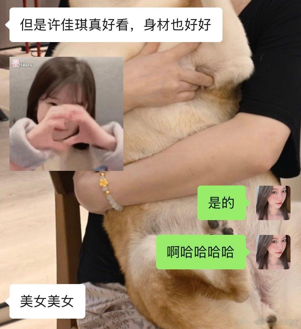 听朋友夸许佳琪真的好爽，谁懂啊 ​