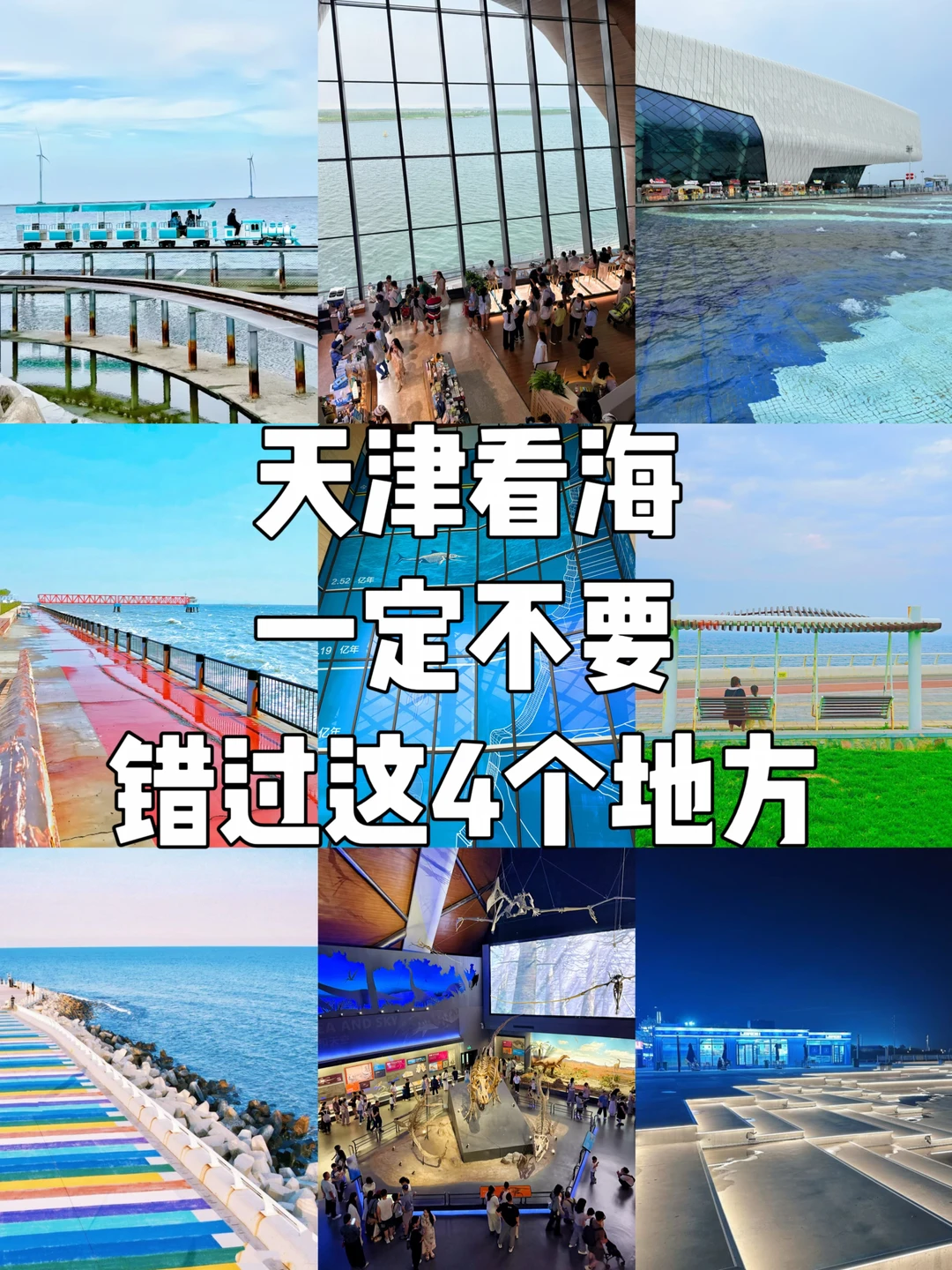 天津夏日看海！4个绝美宝地！本地人推荐！