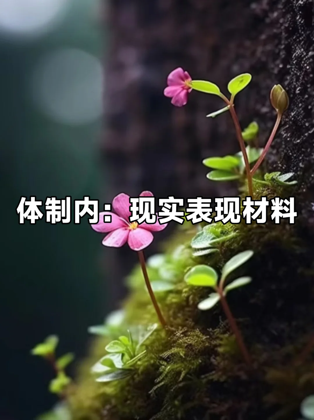 体制内：现实表现材料通用模板