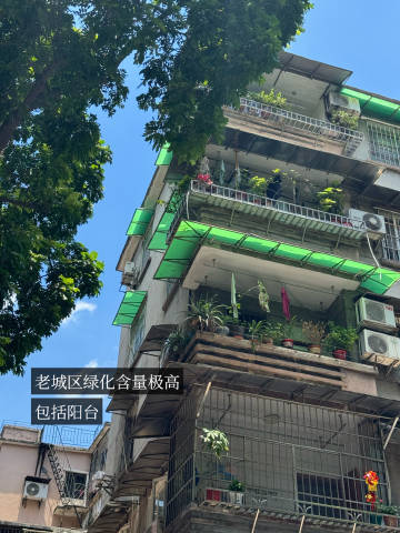 广州老城区solo暴走+打滴半日游pics<br /><br />【路...
