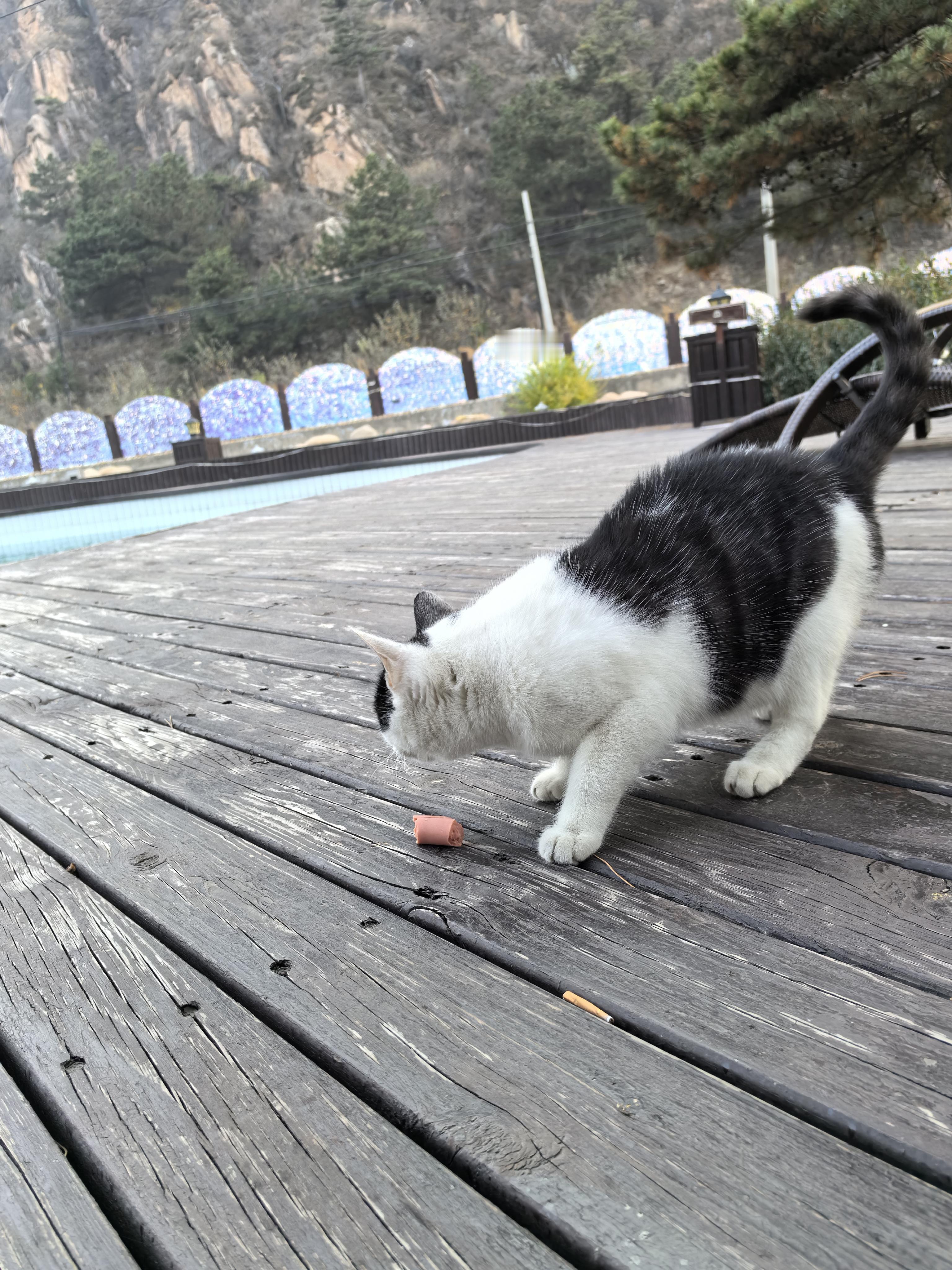 老张老李是一对夫妻，老张比媳妇老李大一岁，如今老张已经55岁，俩人都没...