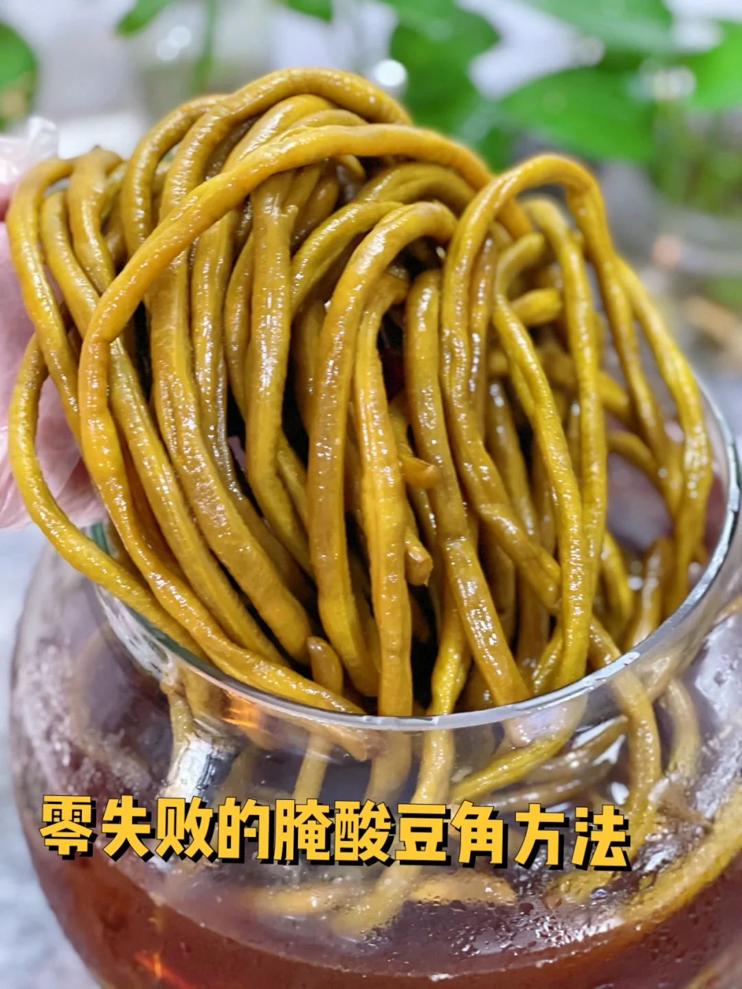 两种零失败腌制酸豆角的教程来啦